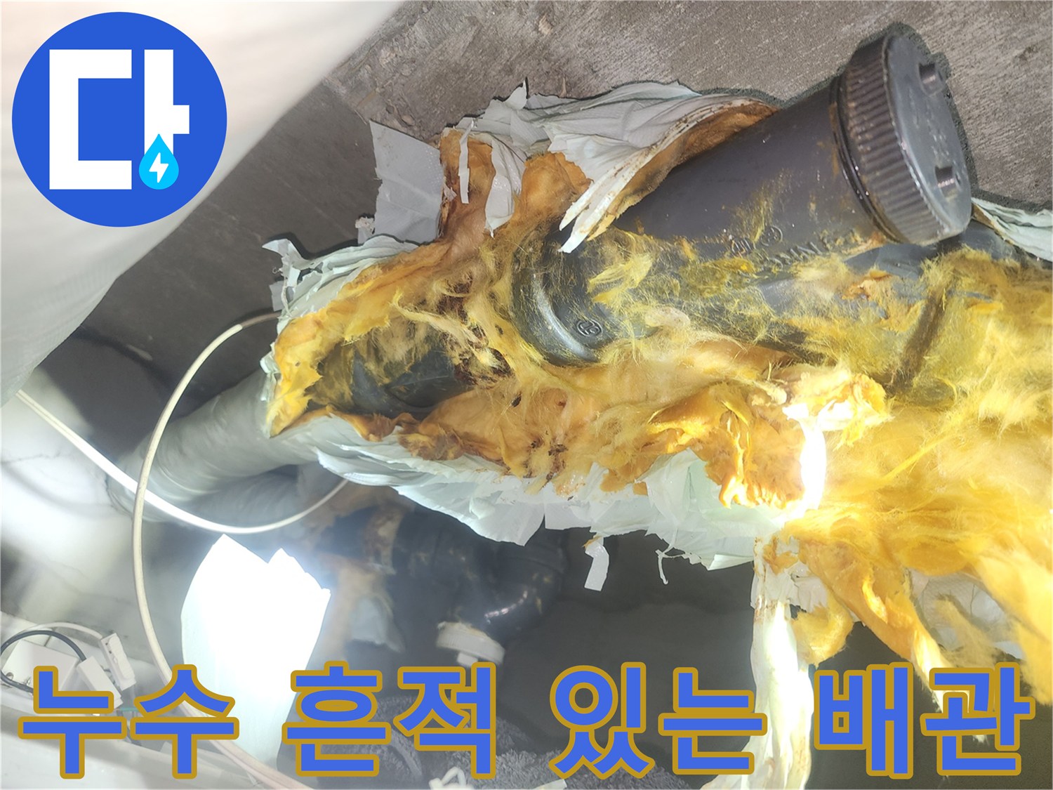 천장-배관-주변의-젖은-단열재와-오염된-상태