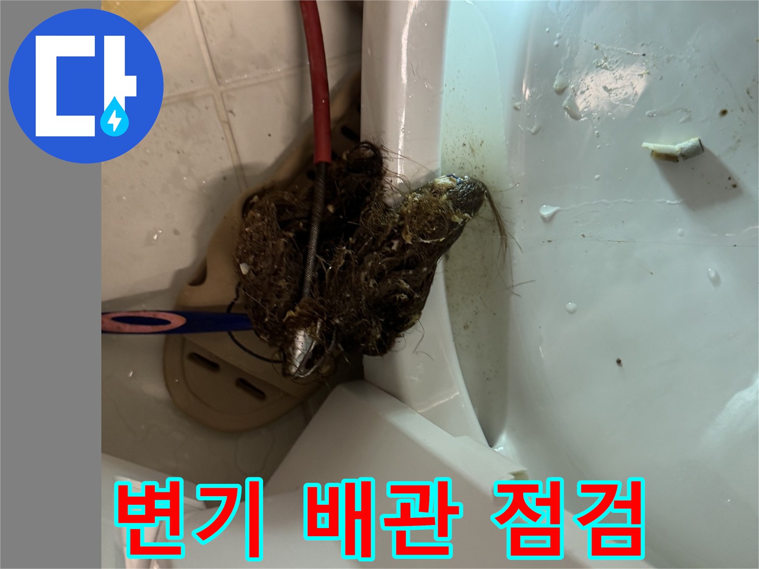 변기 탈거 후 드러난 오염된 오수관 입구