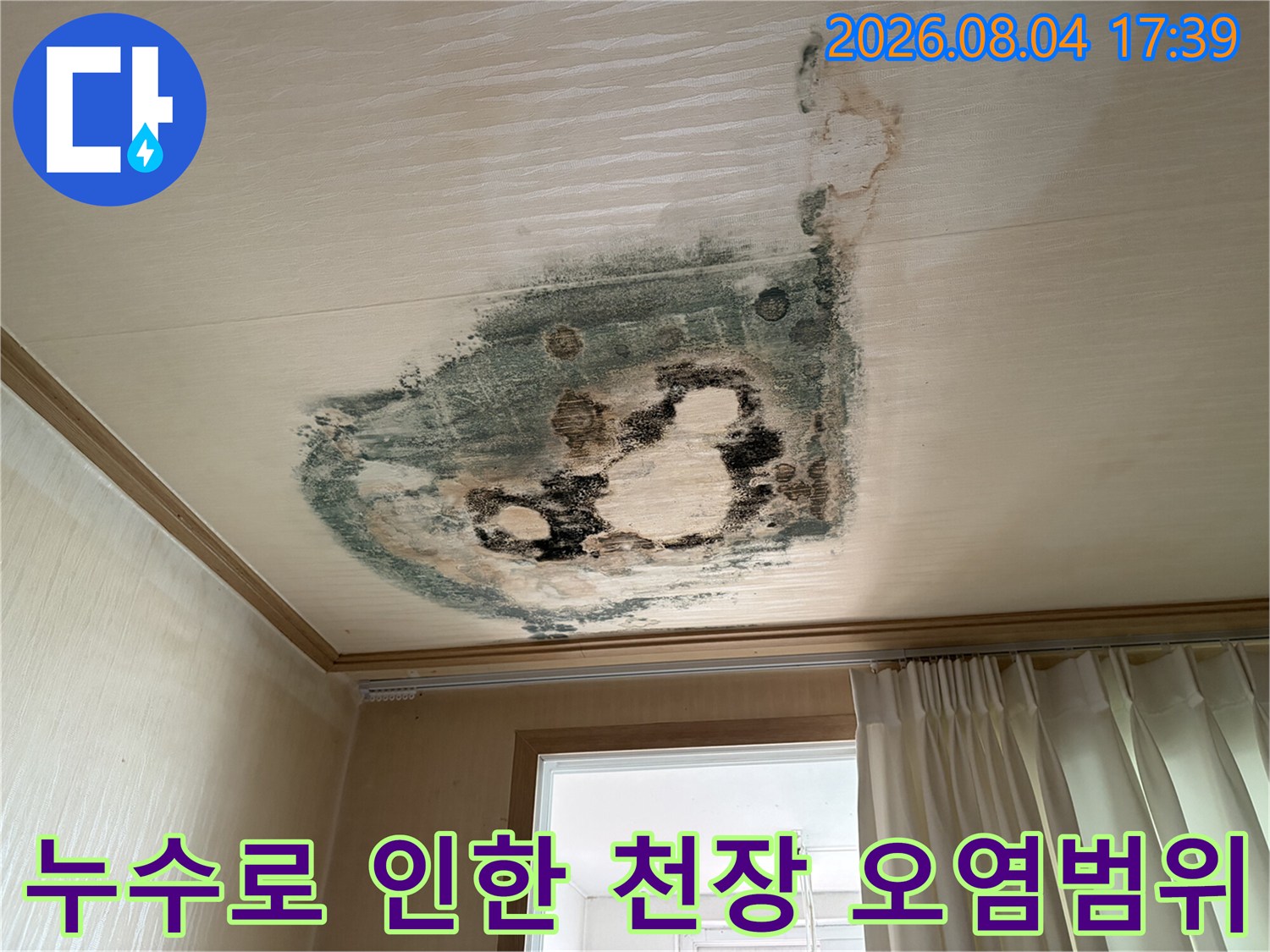 지속적인 물 유입으로 인해 변색되고 곰팡이가 발생한 천장부