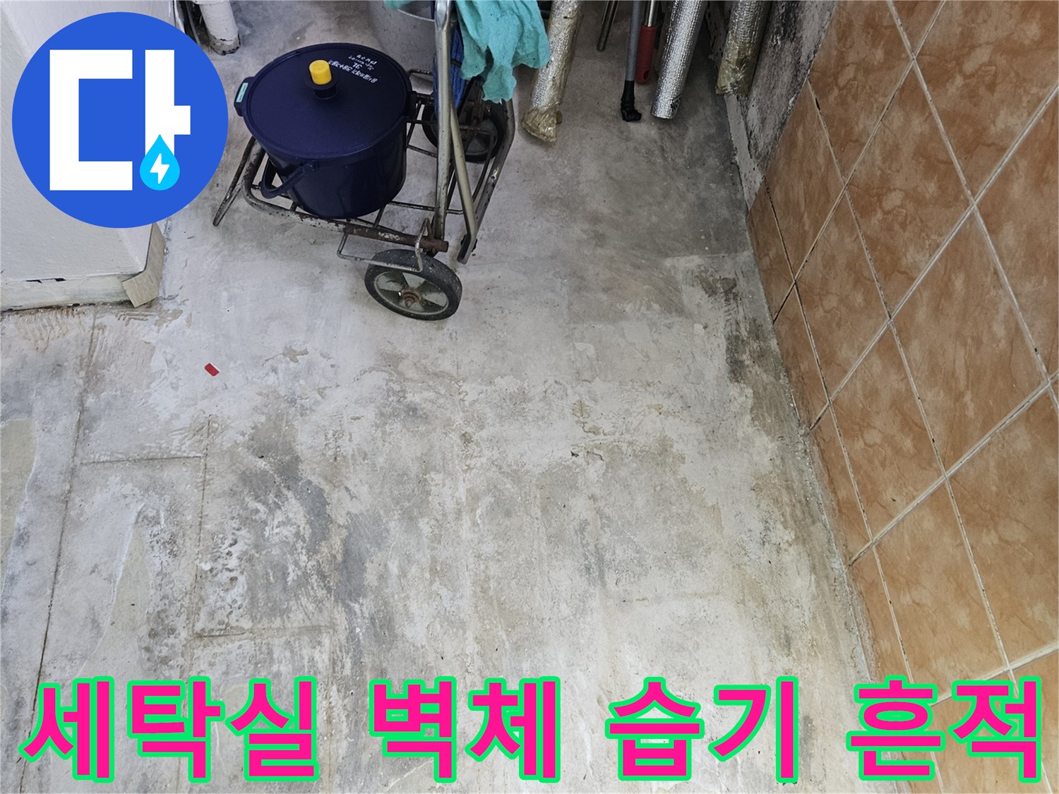 성북구-아파트-세탁실-벽면의-누수-및-습기-흔적