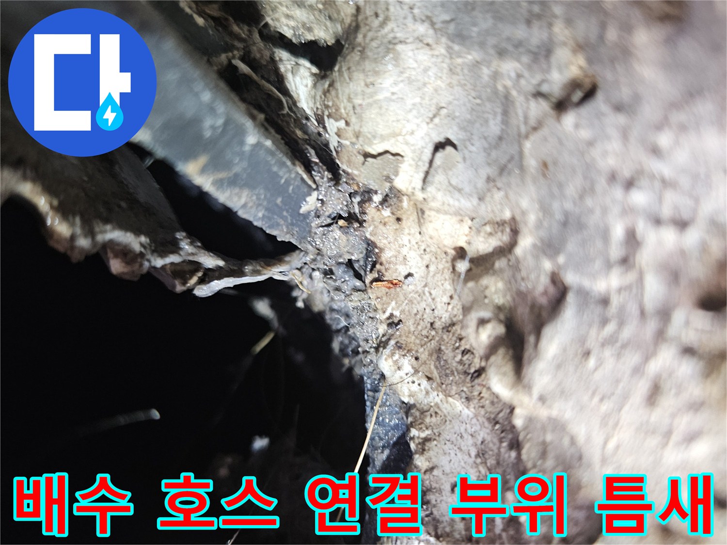 세탁기-배수-호스와-유가-접합-부위의-누수-경로-확인
