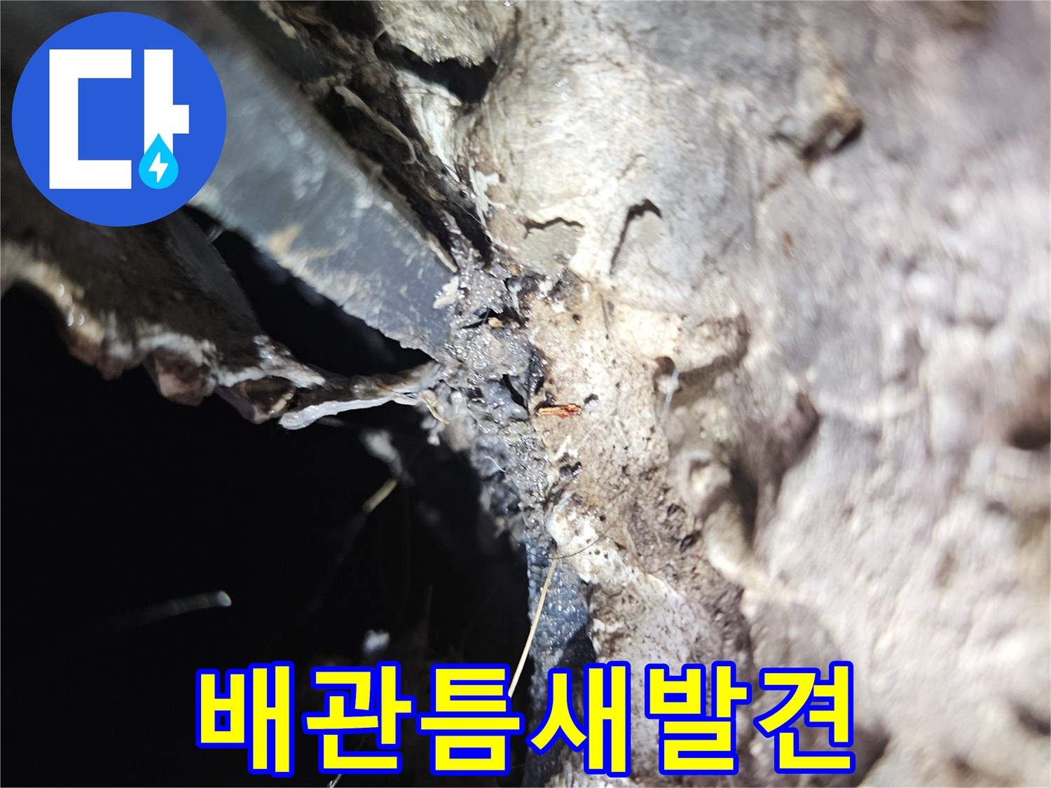 세탁실-배수구-유가-주변-균열-및-물샘-흔적