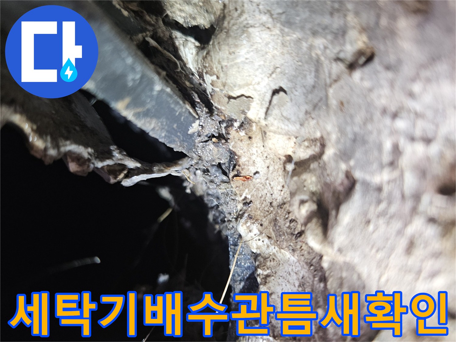세탁실-배수호스와-유가-접합부-누수-지점-상세-사진