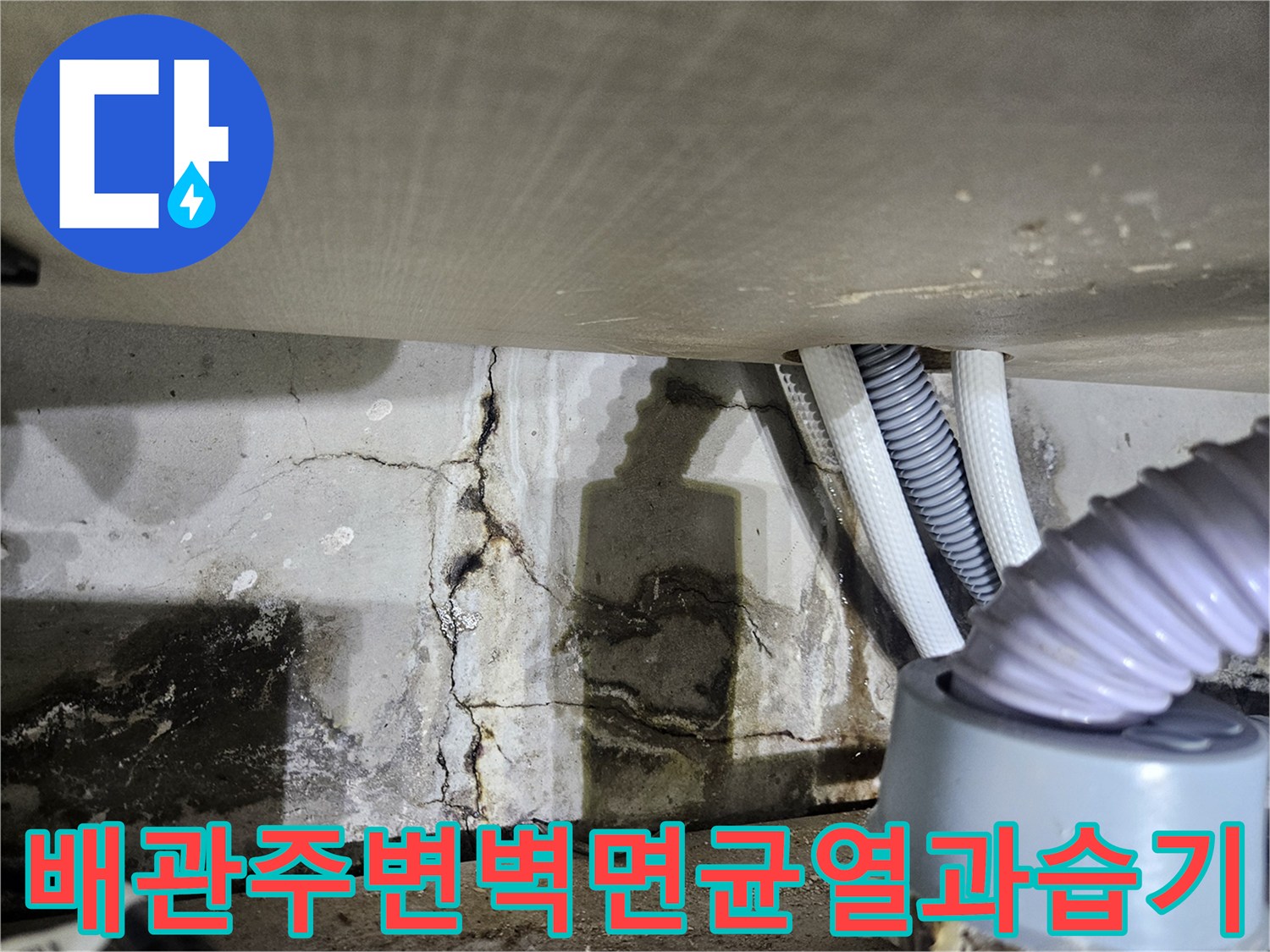 싱크대-하단-매립-배관-주변의-벽면-오염-상태-촬영