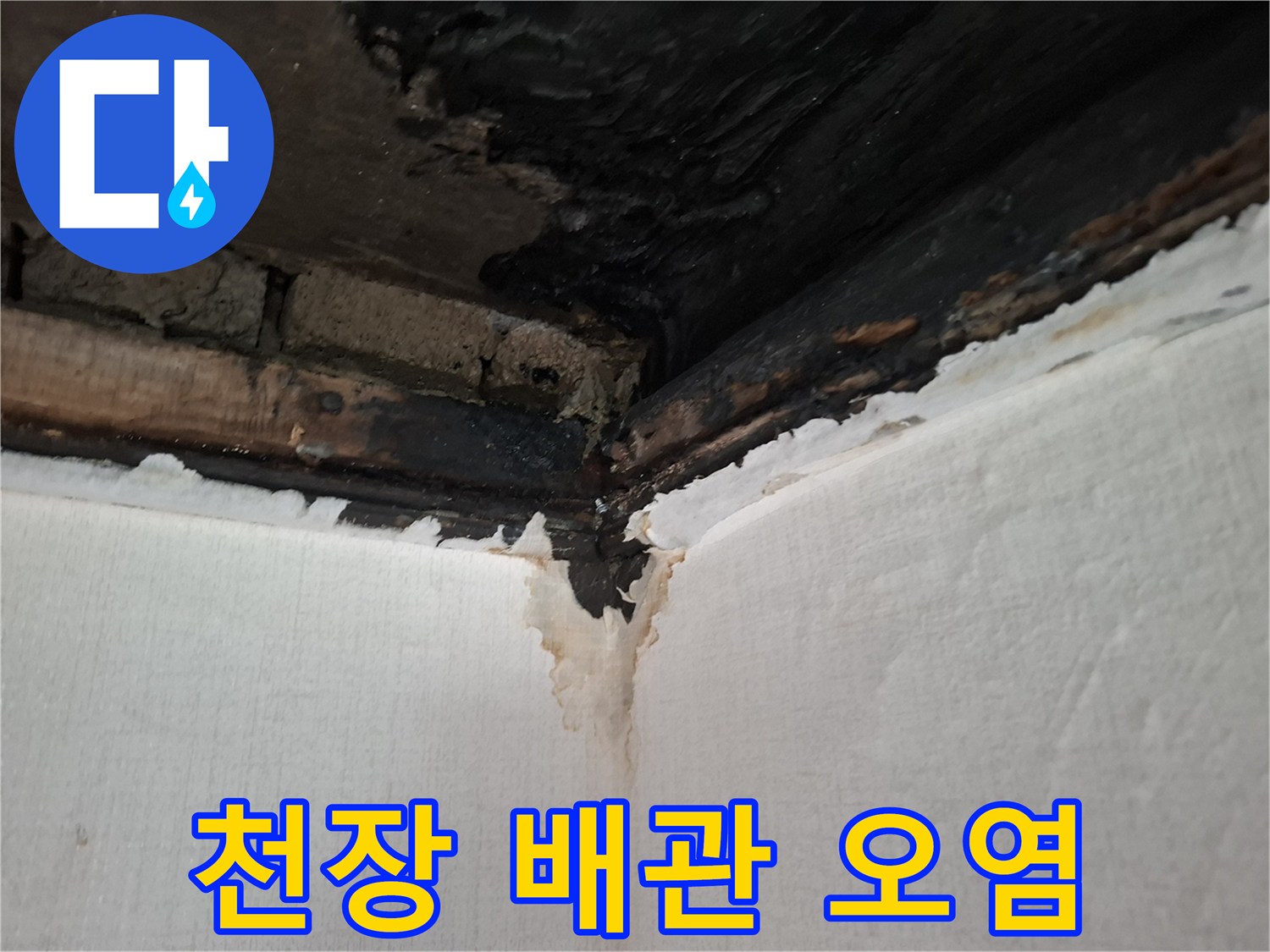 안양동-현장-배관-주변-물기-및-오염-상태