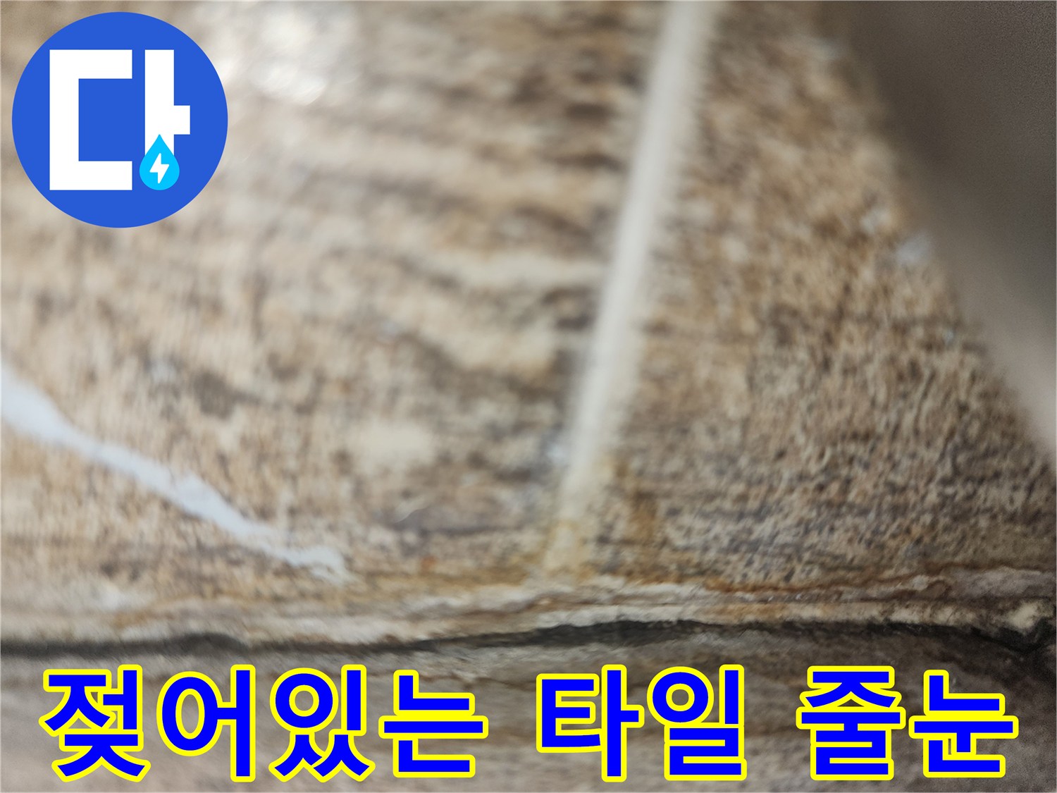 습기가 머물러 있는 노후된 타일 줄눈 부위