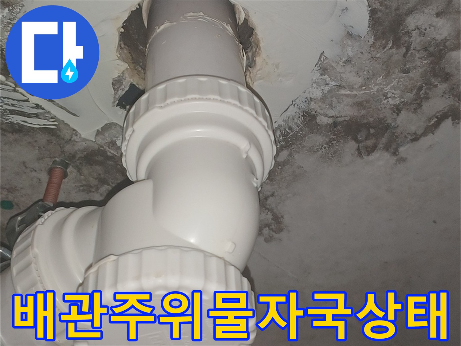 배관 주변의 곰팡이와 습한 벽면 상태