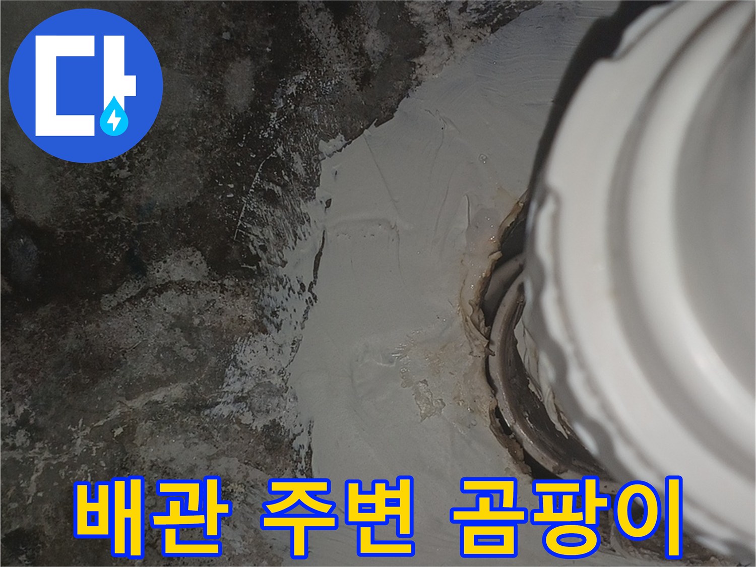 습기로 인해 발생한 천장 배관 주위의 곰팡이 현상