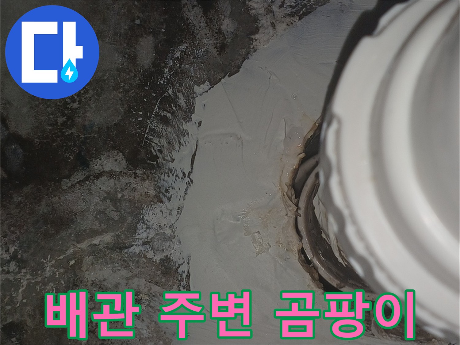 화장실 천장 배관 연결부의 곰팡이와 습윤 상태