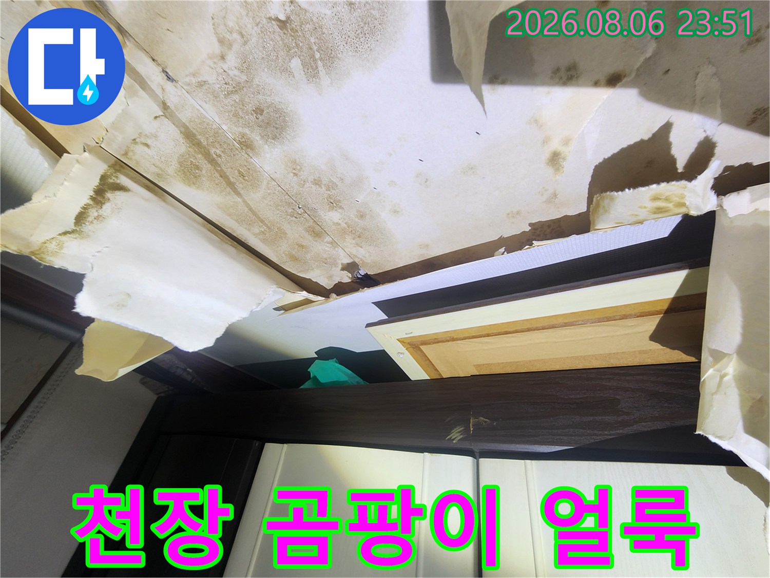 중랑구 면목동 현장의 천장 벽지 곰팡이 및 누수 흔적
