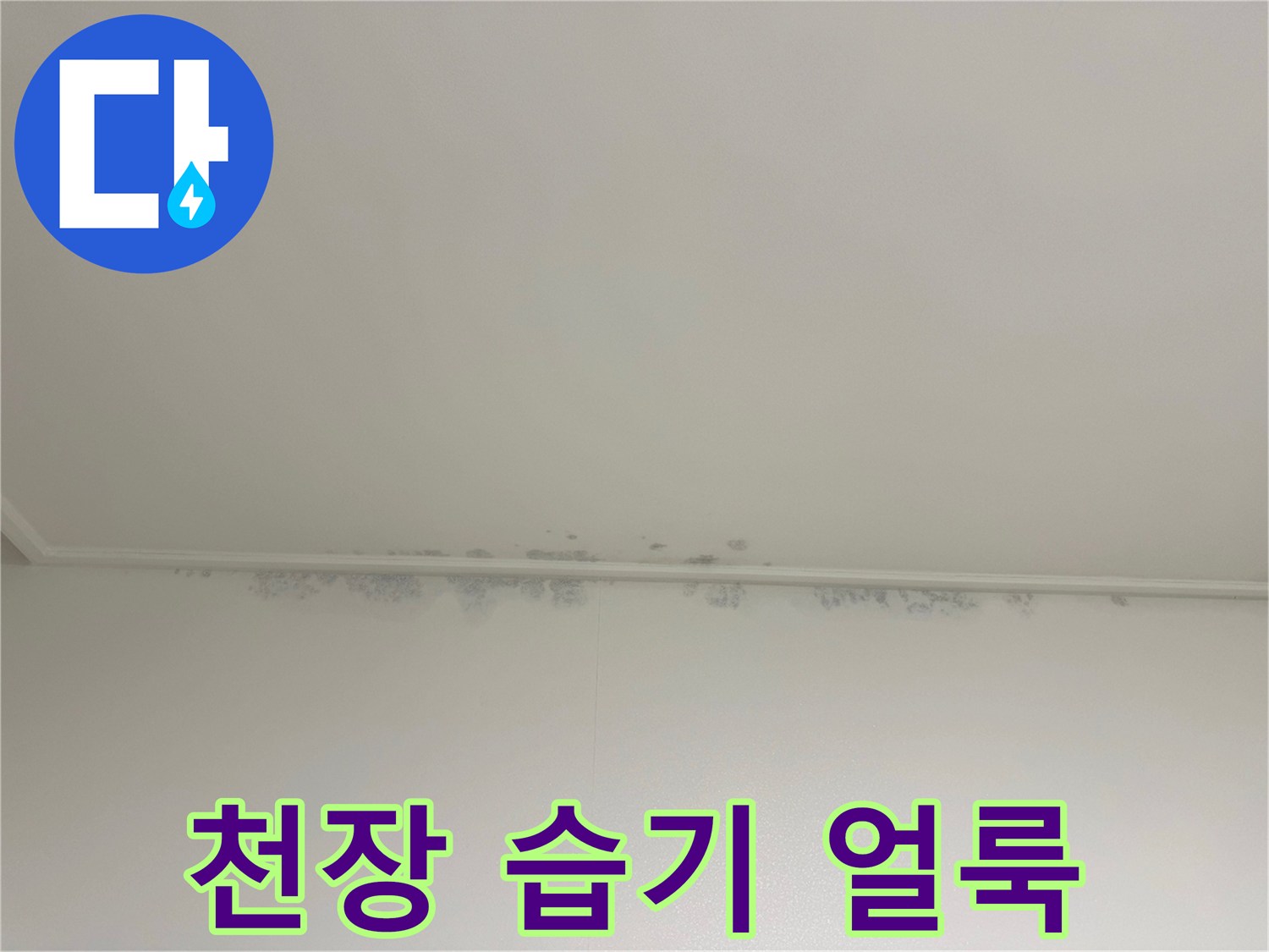 물기가 스며든 천장 벽지 및 몰딩 부위