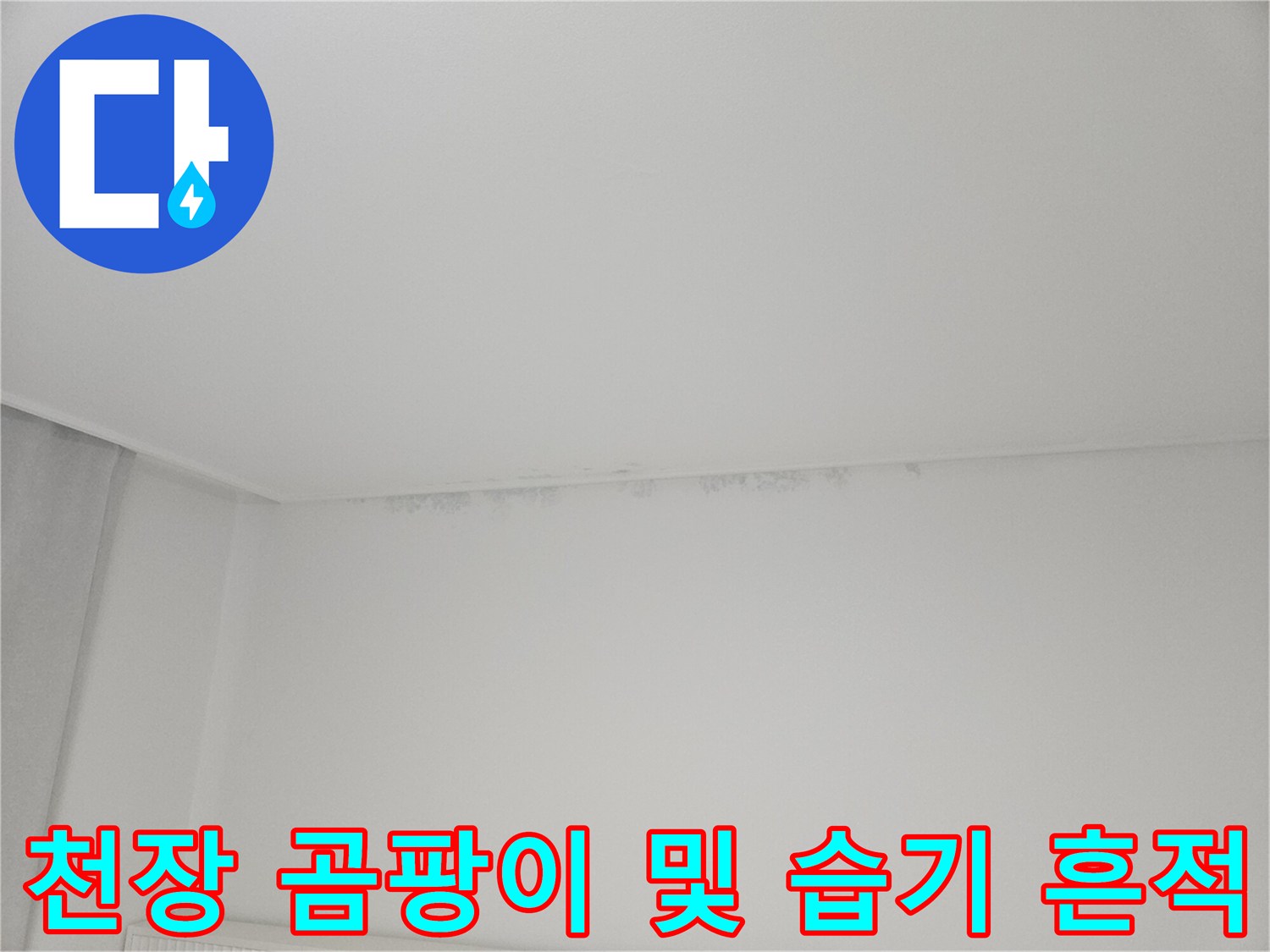천장-모서리-부분의-곰팡이와-물자국