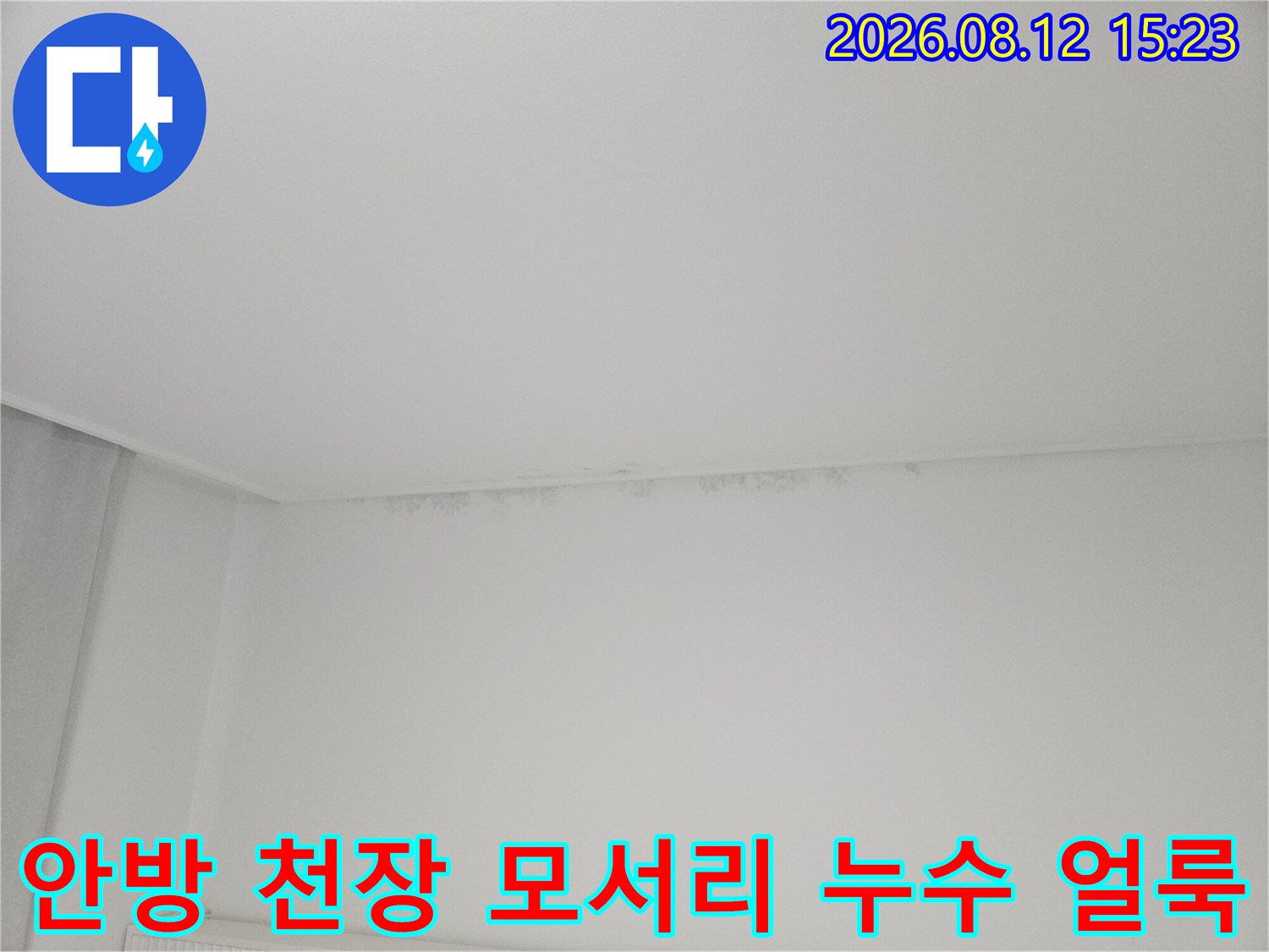 흰색 벽지와 천장 접합부-모서리를 따라 발생한 회색빛 누수 얼룩과 곰팡이 흔적