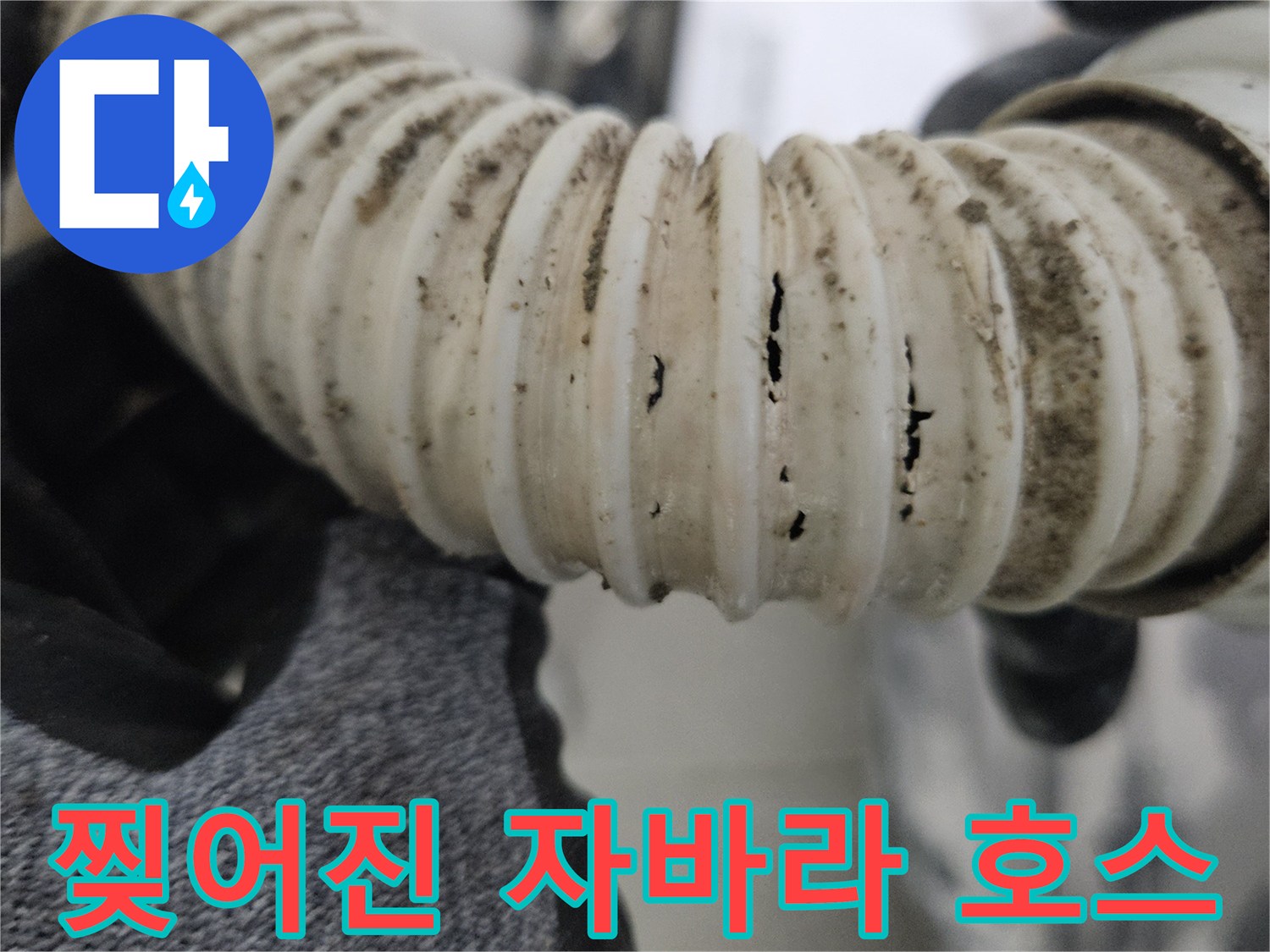 균열이 발생한-화장실용 주름관 배수 호스 모습