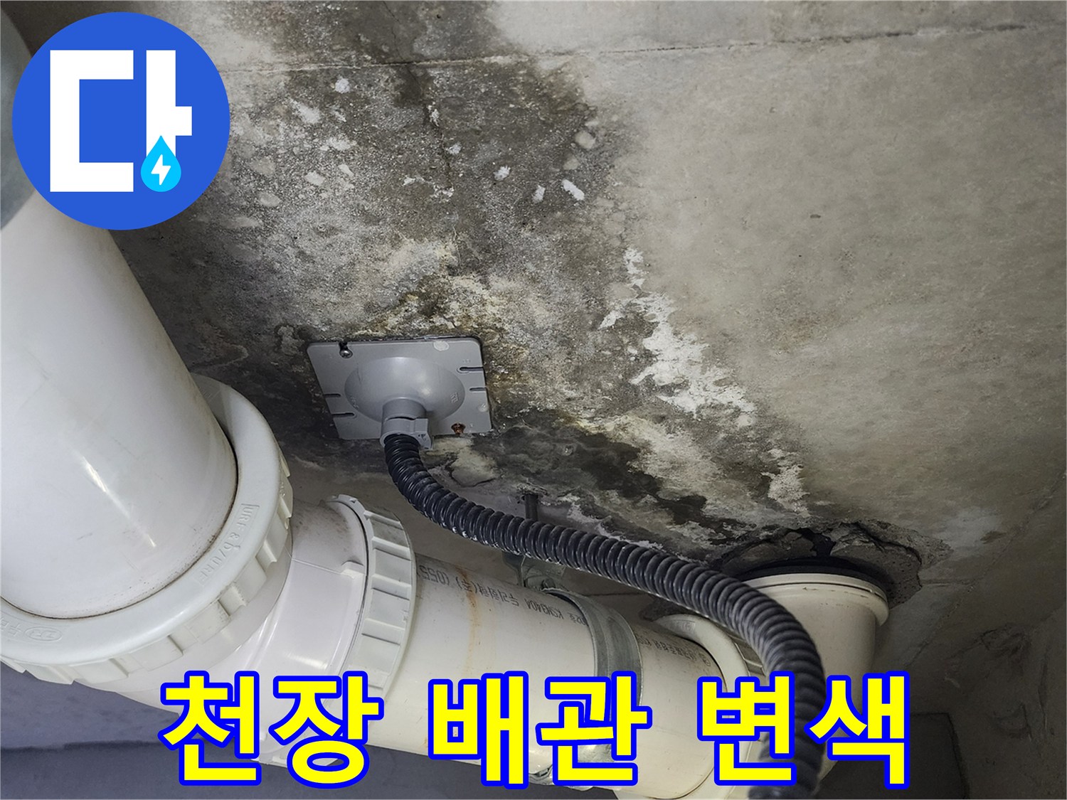 누수로 인해 얼룩진 화장실 천장 내부 구조물