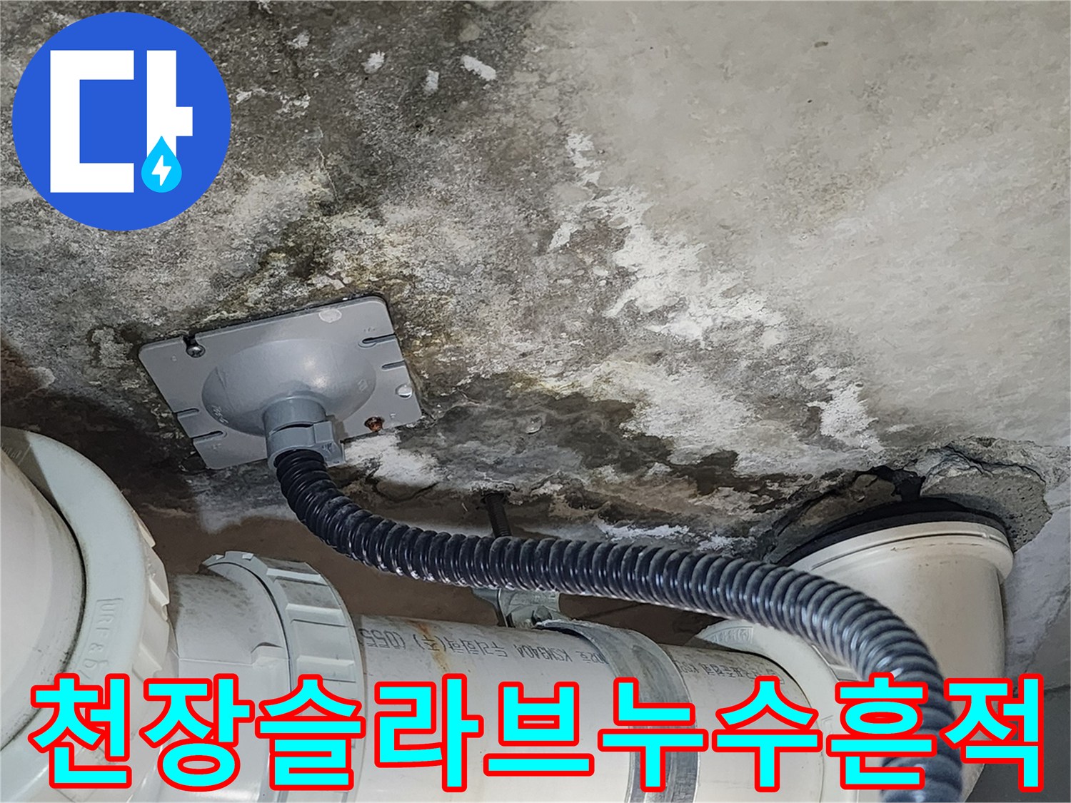 덕양구 현장-배관 연결부 주변의 젖은 콘크리트와 오염된 표면