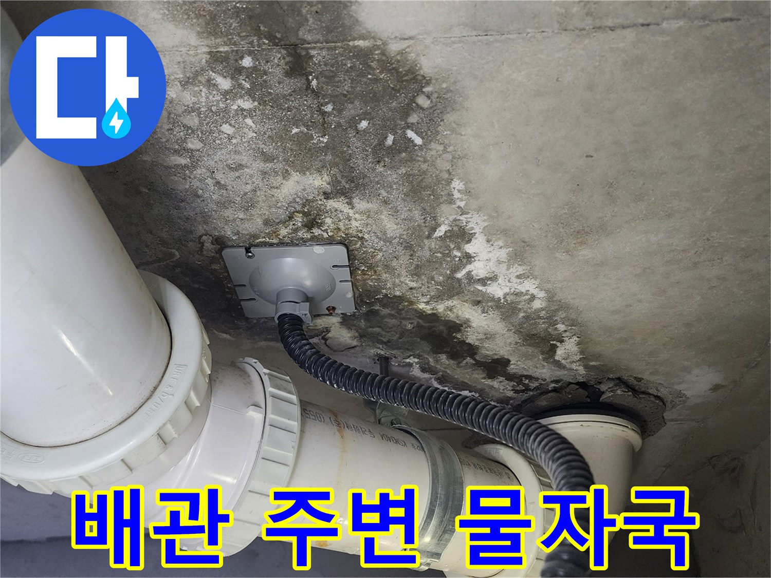 배수-배관-연결부-주변의-심한-습기-및-오염-사진