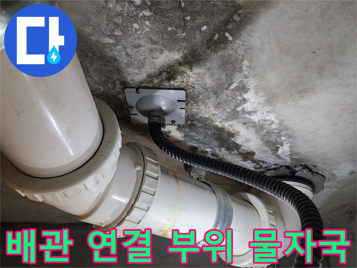 화장실-천장-배관-소켓-주변의-젖은-흔적과-오염