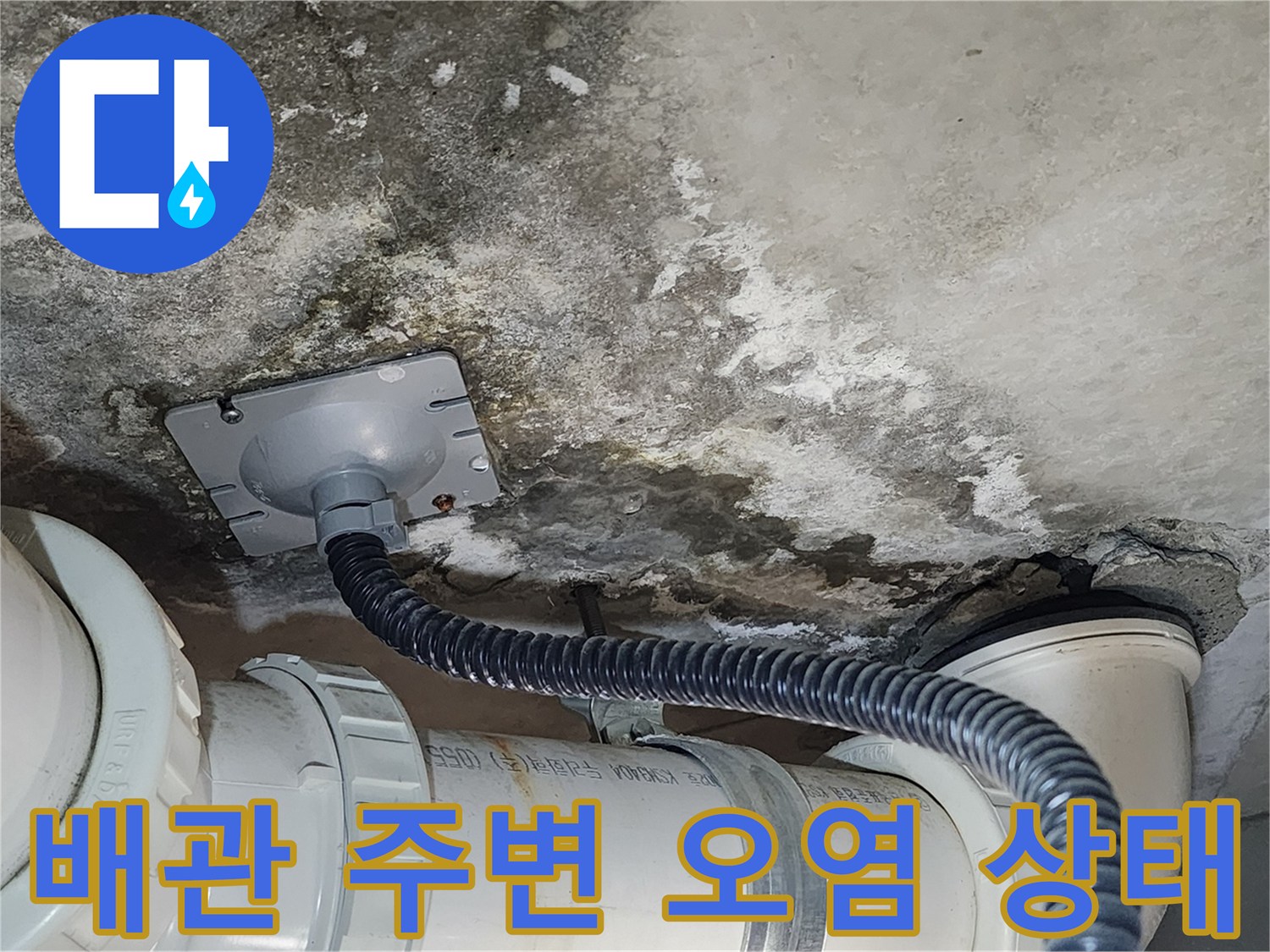 화장실-천장-배관-주변의-습기와-곰팡이-흔적