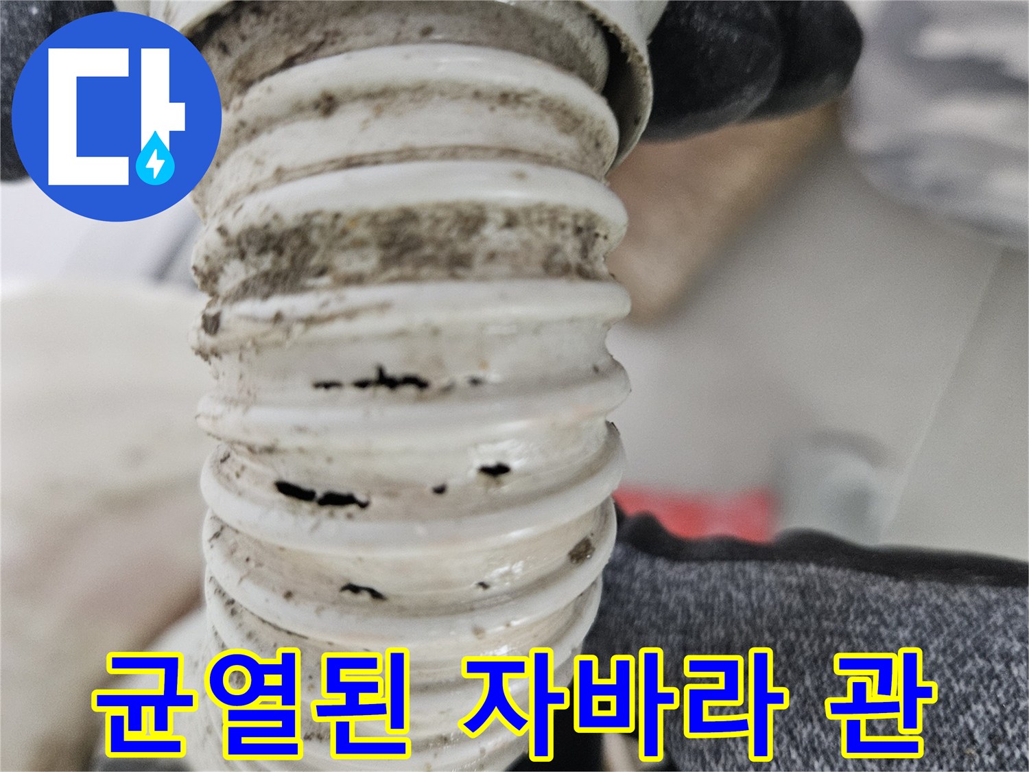 훼손된-배수관-주름관-틈새-확대-사진