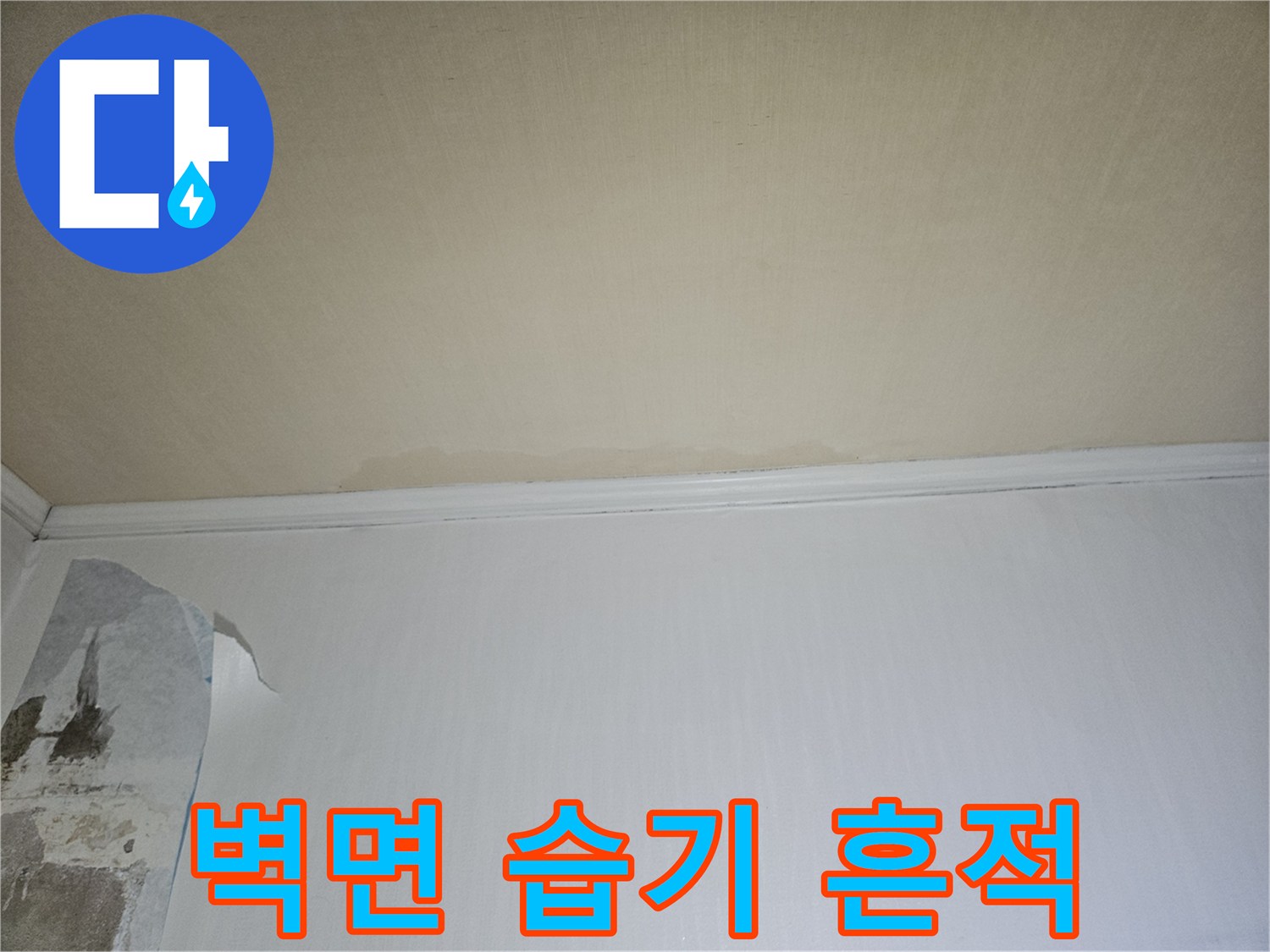 누수로 인해 젖어 있는 하얀색 벽면과 벗겨진 도배지