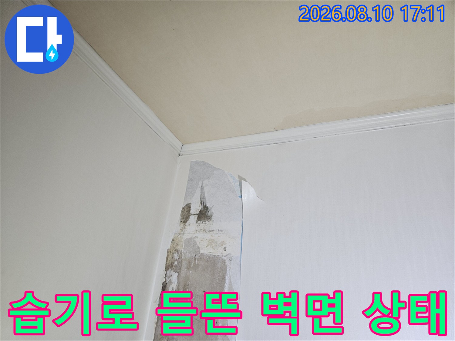 물기가 스며들어 하얗게 변하고 벗겨진 화장실 벽면의 모습입니다.