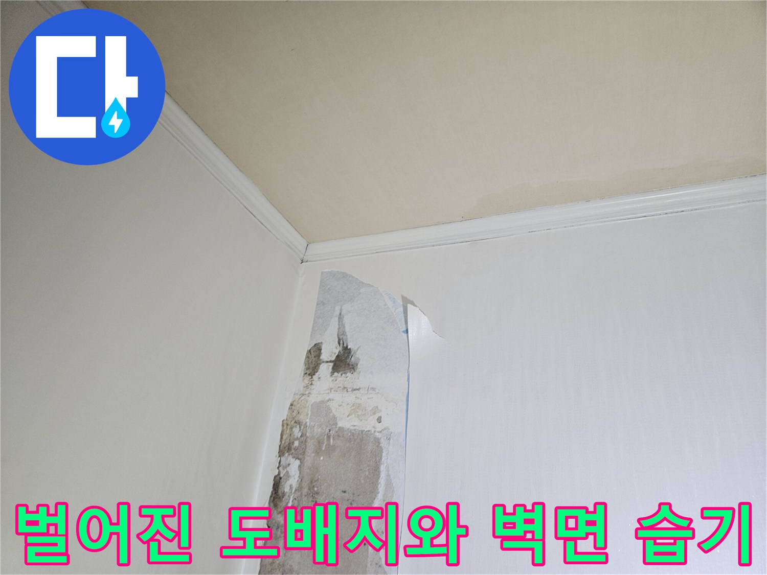 물샘-현상으로-인한-도배지-부풀어-오름-상태
