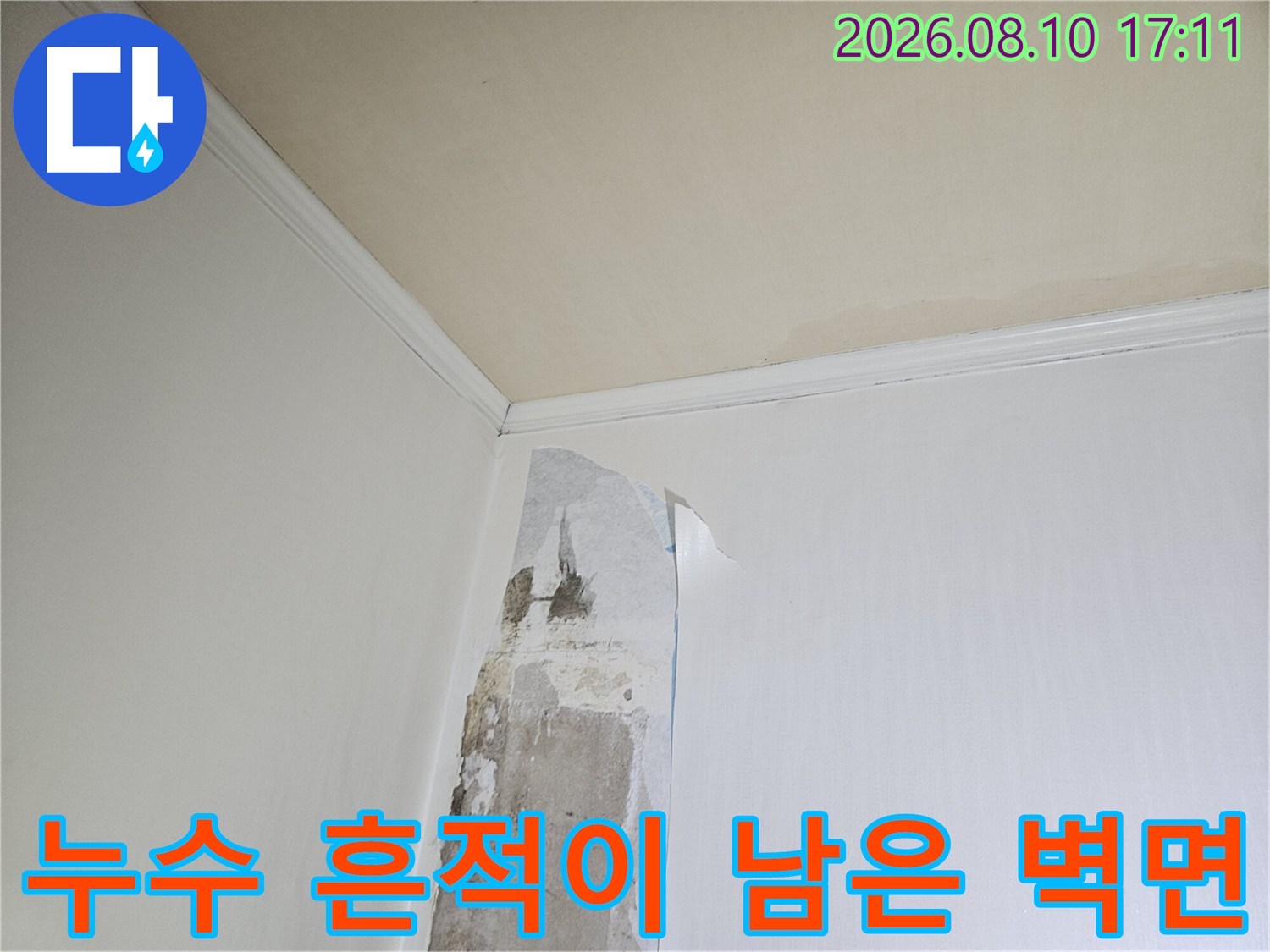 물샘 현상이 발생한-화장실 내부의 젖은 벽면 상태를 촬영한 사진