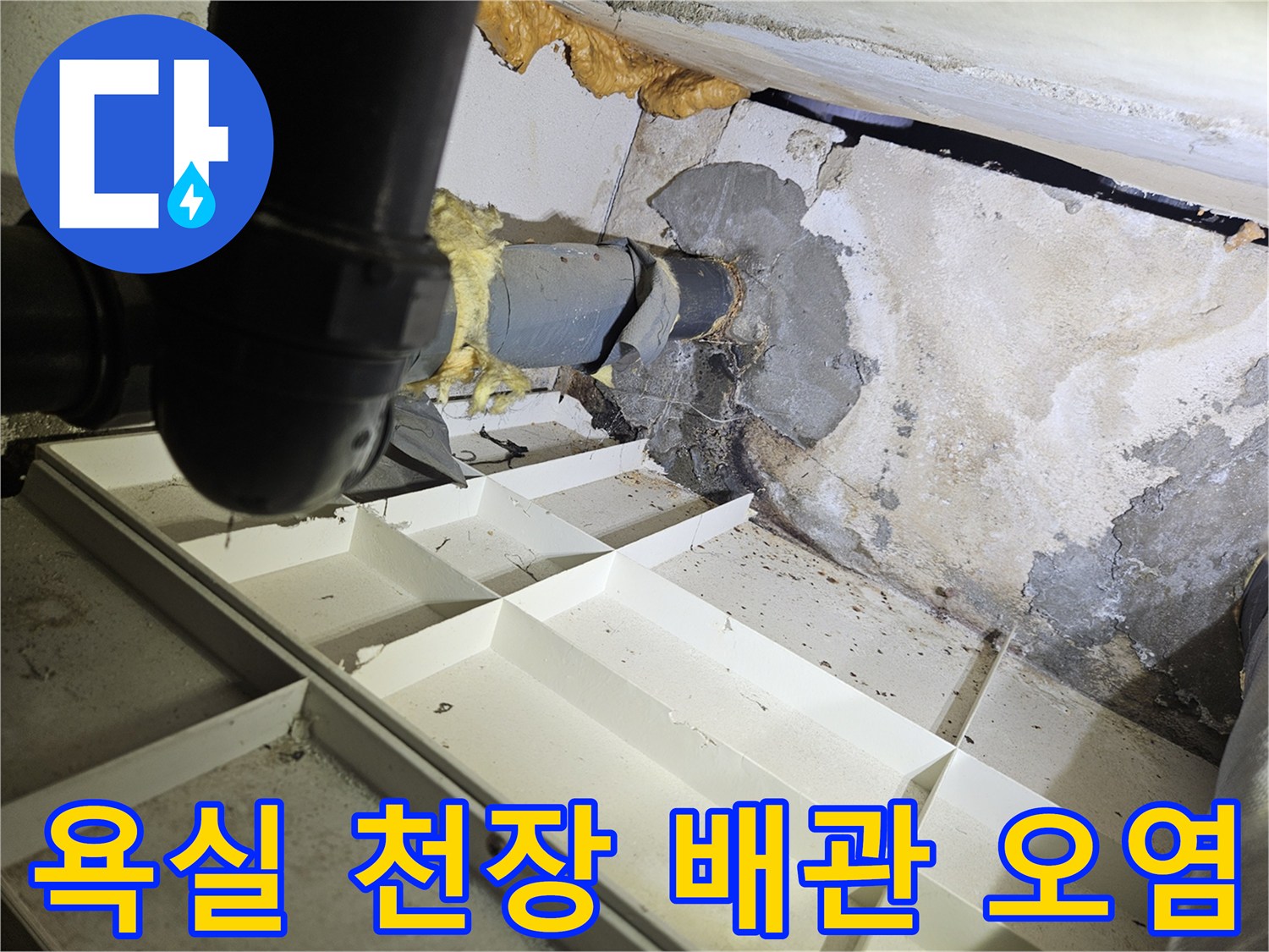 배관-주변의-심한-얼룩과-곰팡이로-오염된-천장 내부 모습