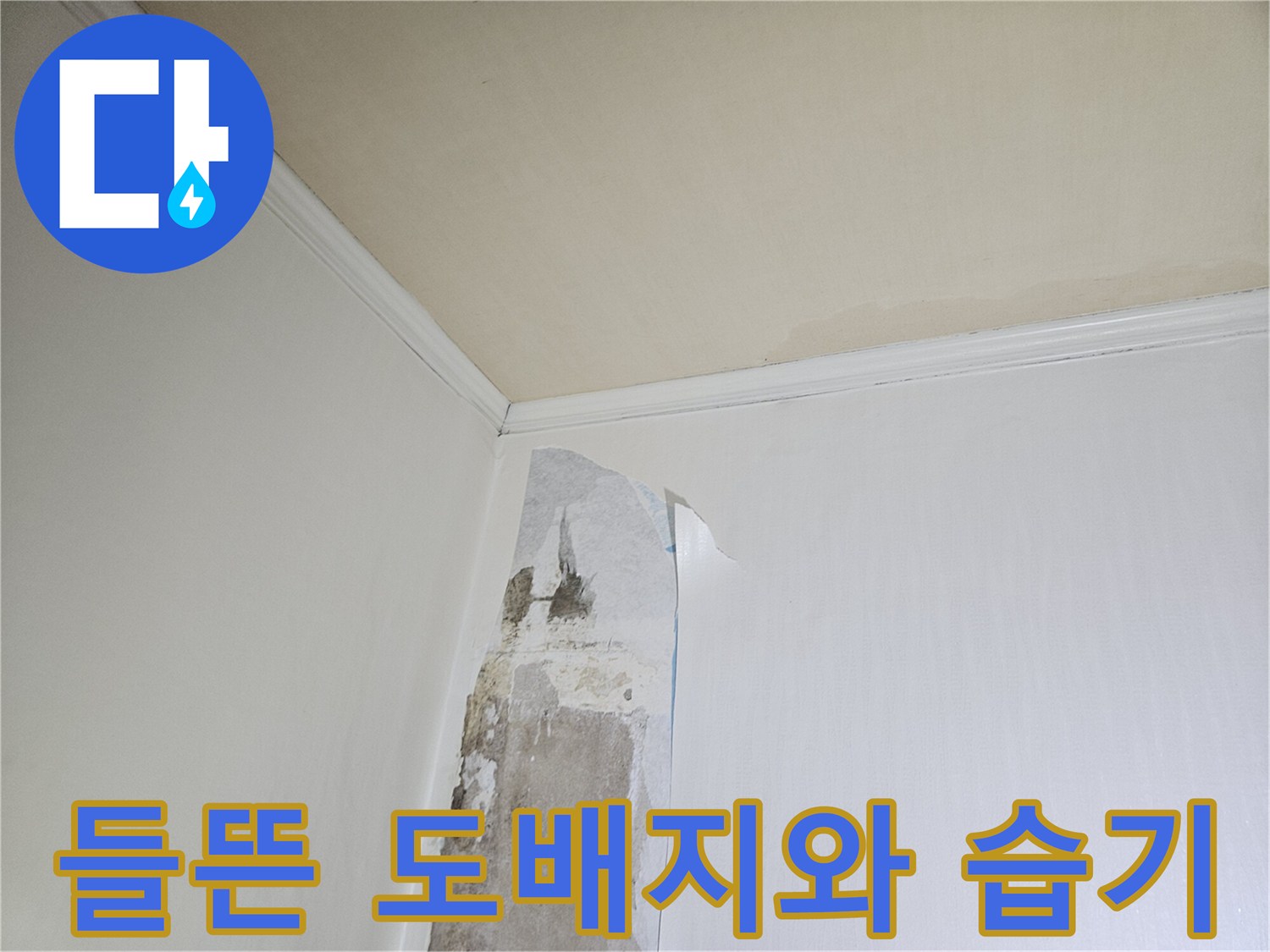 습기로 인해 층이 분리된 벽면 도배지와 오염 흔적