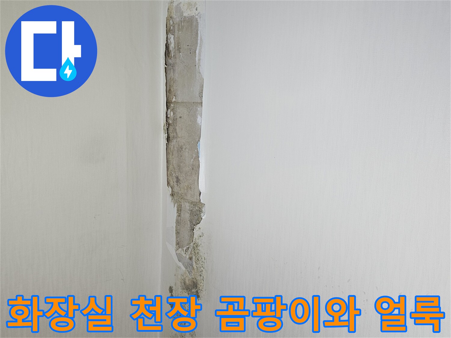 일산동구-화장실-천장-벽면-곰팡이-및-누수-흔적