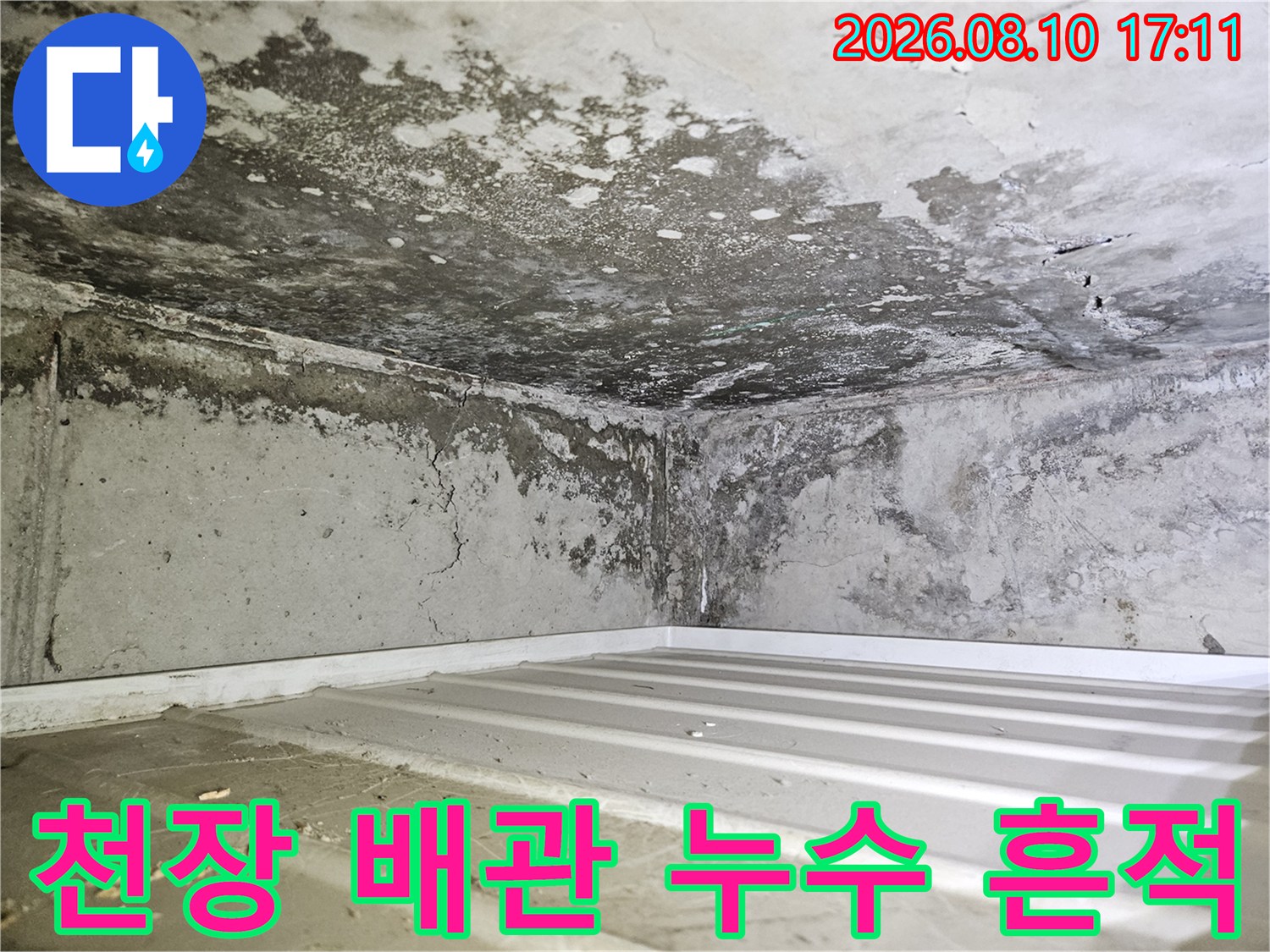 젖은 콘크리트 벽면과 천장 안쪽의 물자국 상태