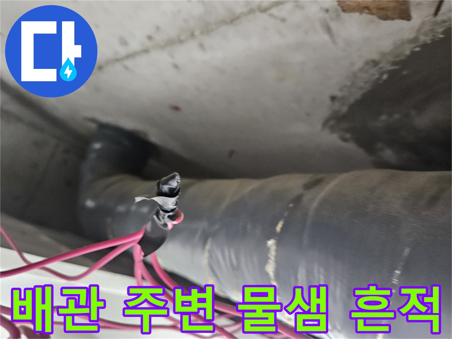 천장-내부-배관-주변의-누수-및-습기-흔적