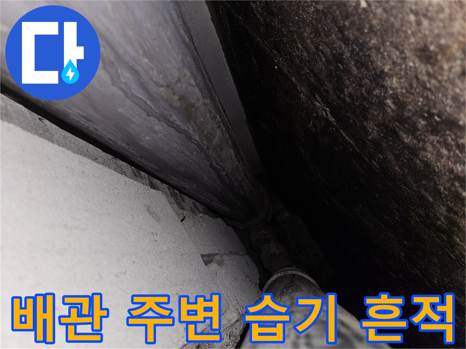 천장-내부-배관-주변의-축축한-습기-상태