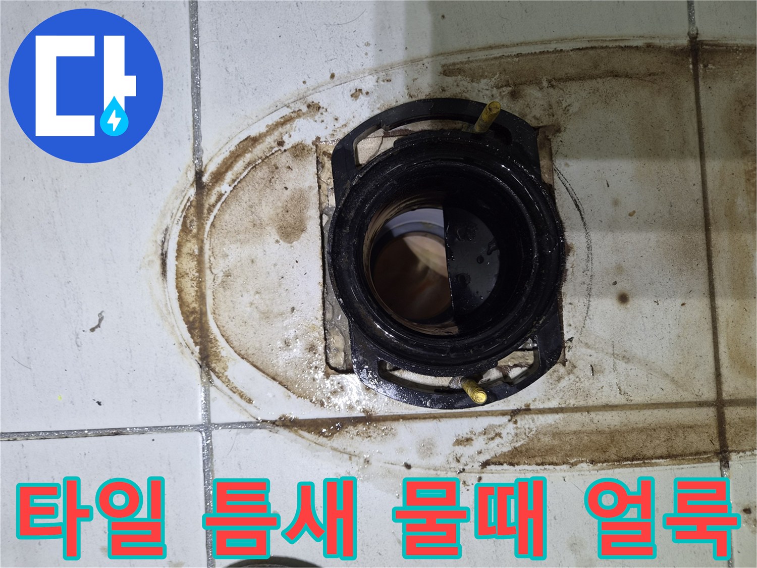 배수구 주변 타일 사이의 누수 흔적과 오염