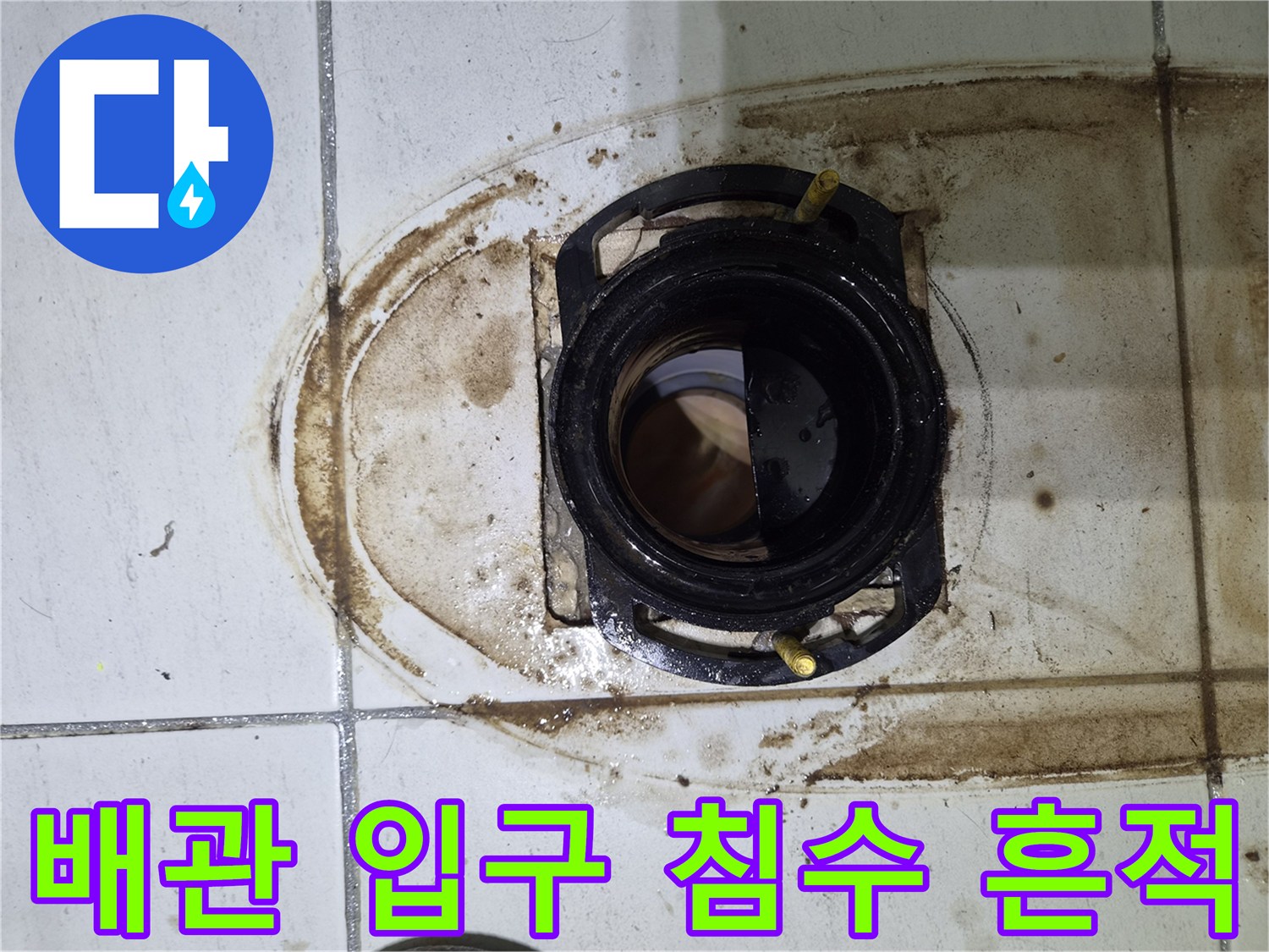 욕실 배수 트랩-누수로 인해 변색된 유가 주변 마감재