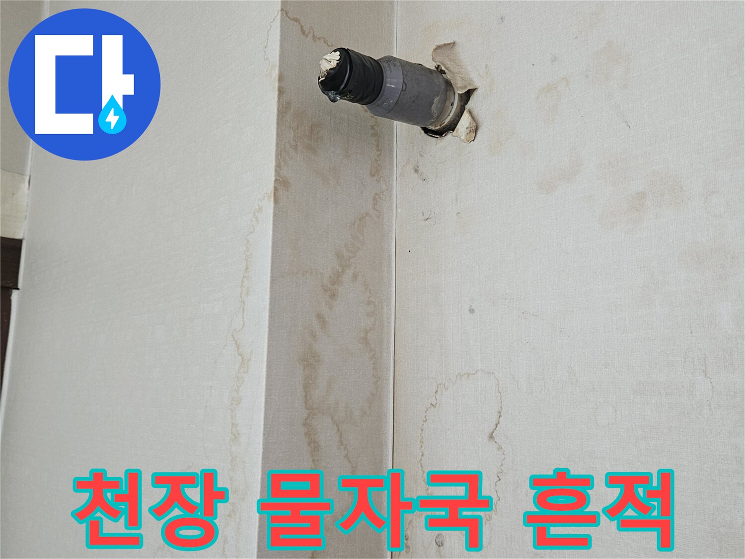 천장 마감재에 나타난 넓은 범위의 누수 변색 부위