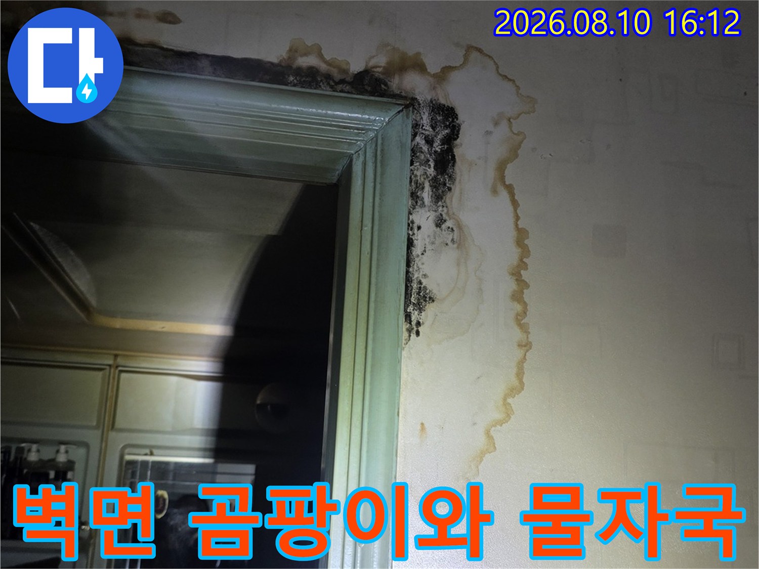 문틀 상단 벽지를 따라 번진 누수 흔적과 검은 곰팡이