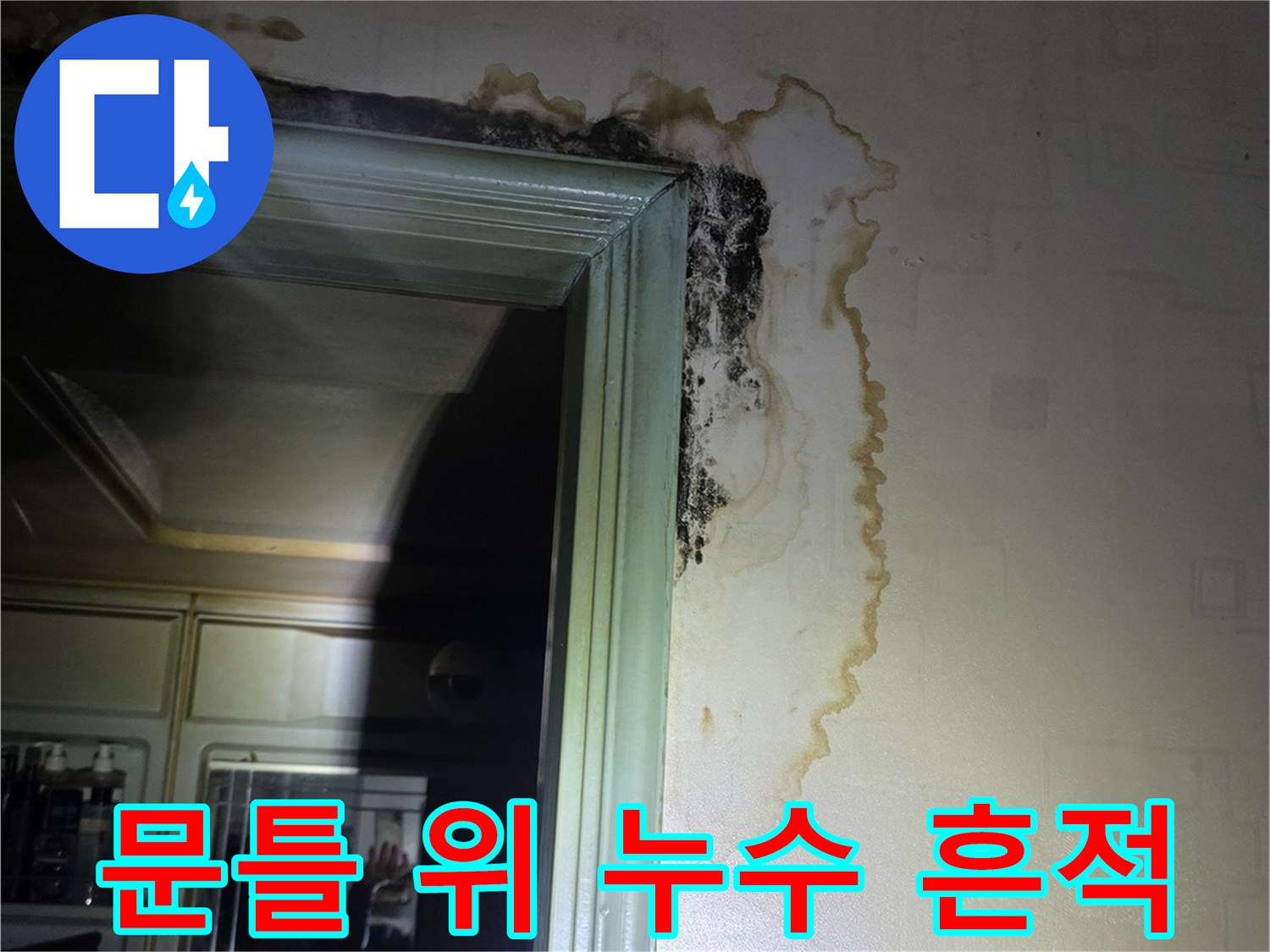 문틀 주변 벽면-물샘으로 인한 젖음과 곰팡이 발생 현장