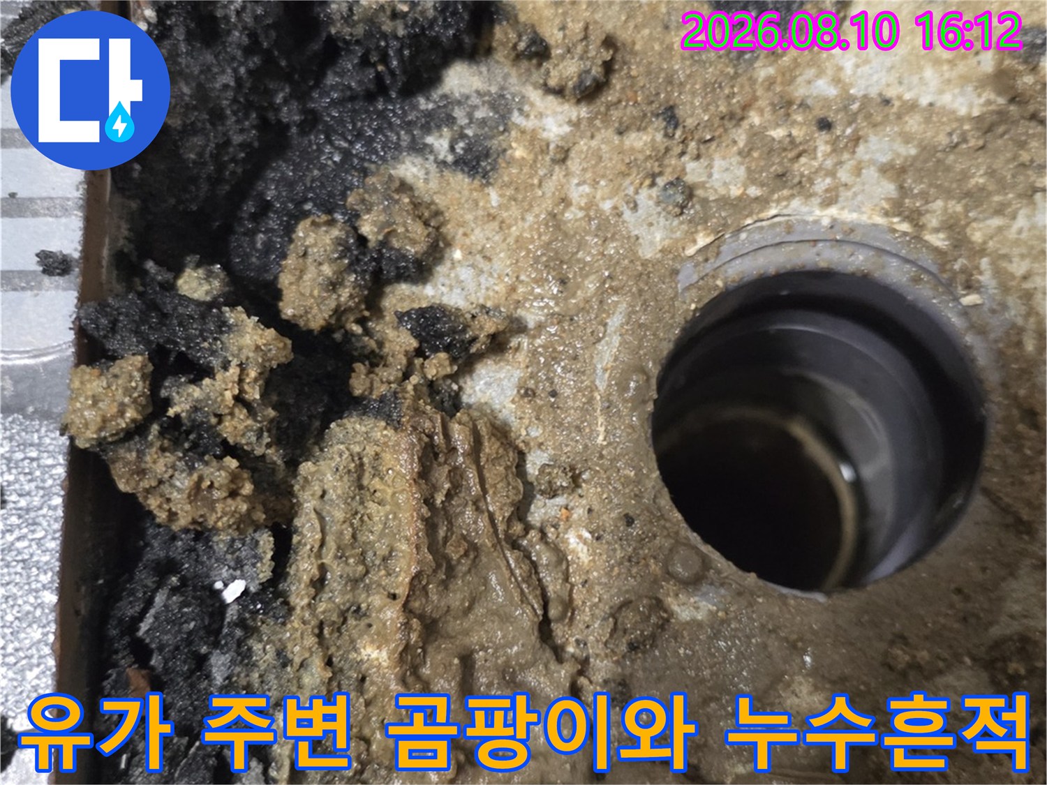 배수구 유가 주위의 방수층이 무너져 곰팡이가 발생했습니다.