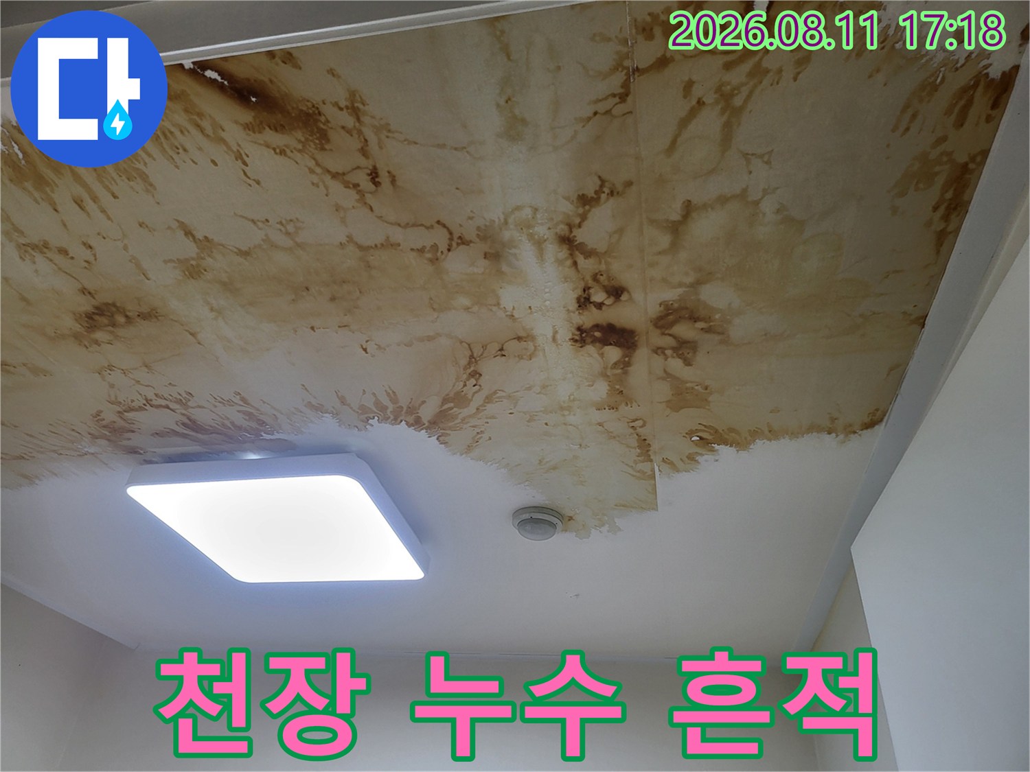 상월곡동 현장의 넓게 번진 갈색 누수 오염 부위
