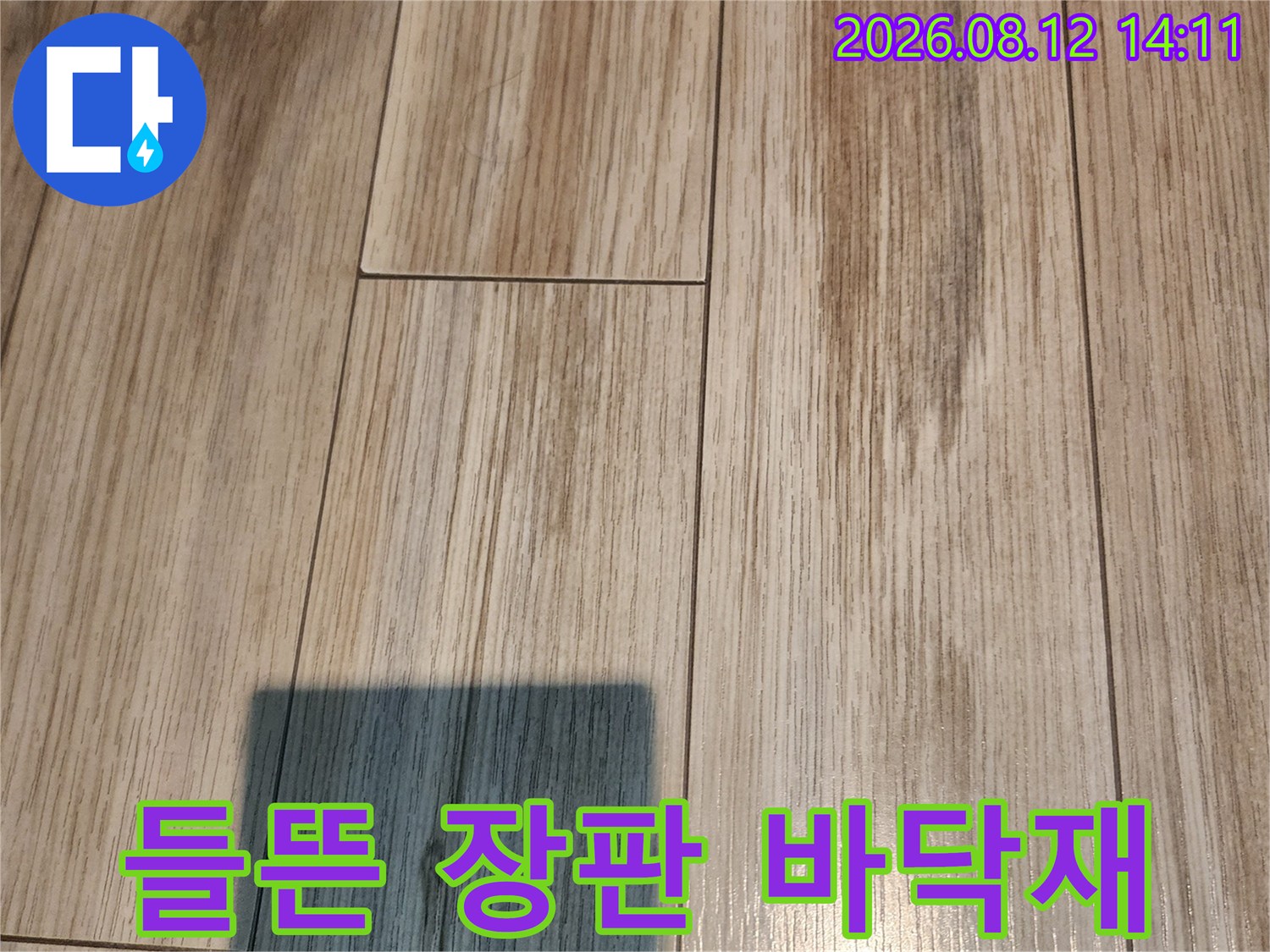 현관 입구 쪽의 들뜬 장판 표면 사진