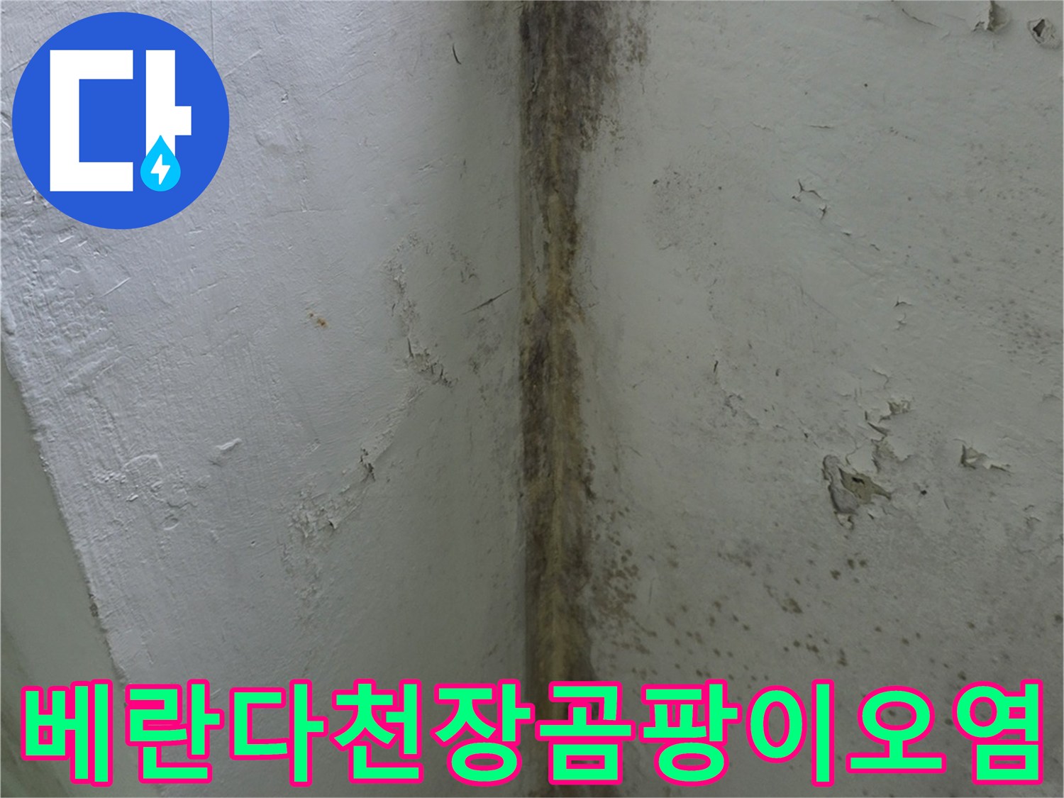 분당-정자동-아파트-베란다-천장-모서리에-피어난-검은색-곰팡이와-물샘-흔적