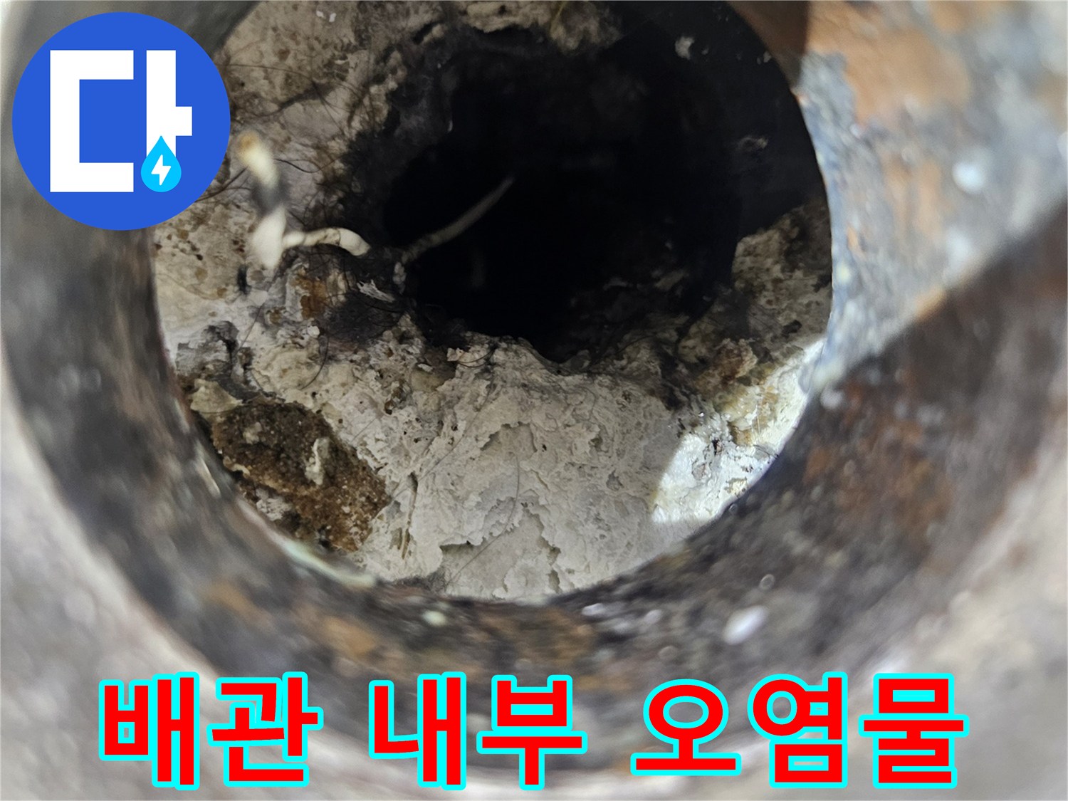 배수구-내부의-퇴적된-이물질과-습기
