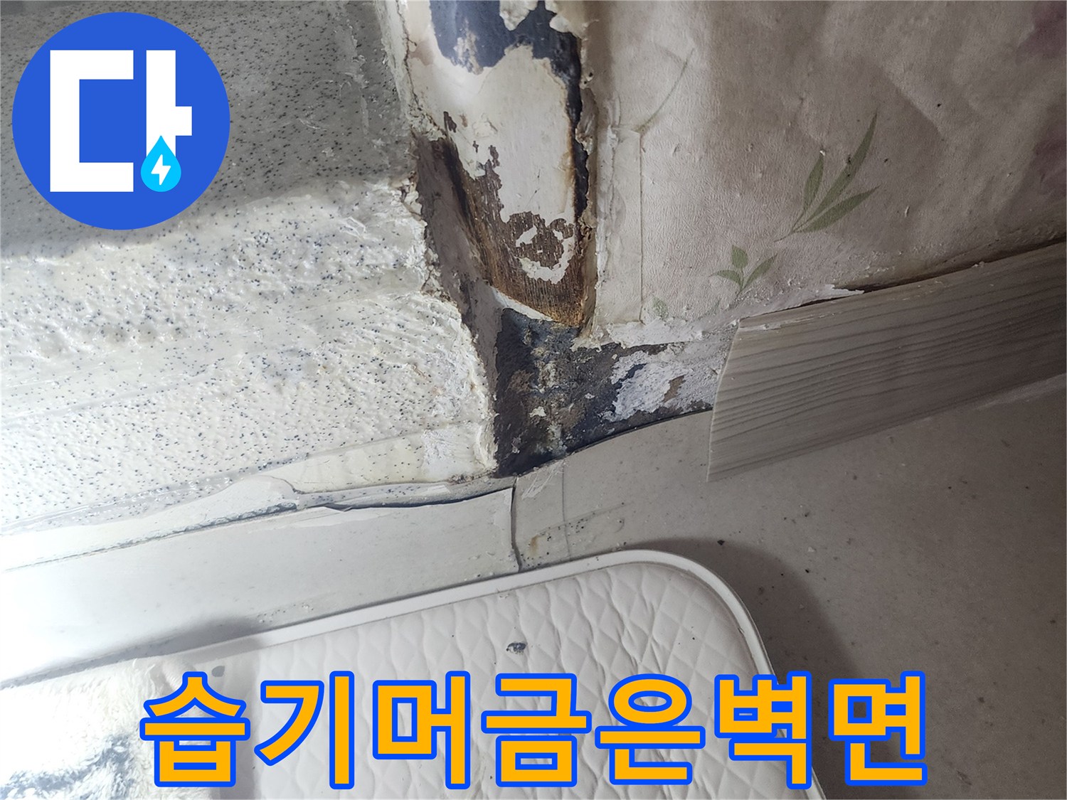 문틀하부구석-물기가 스며들어 훼손된 벽지 경계선