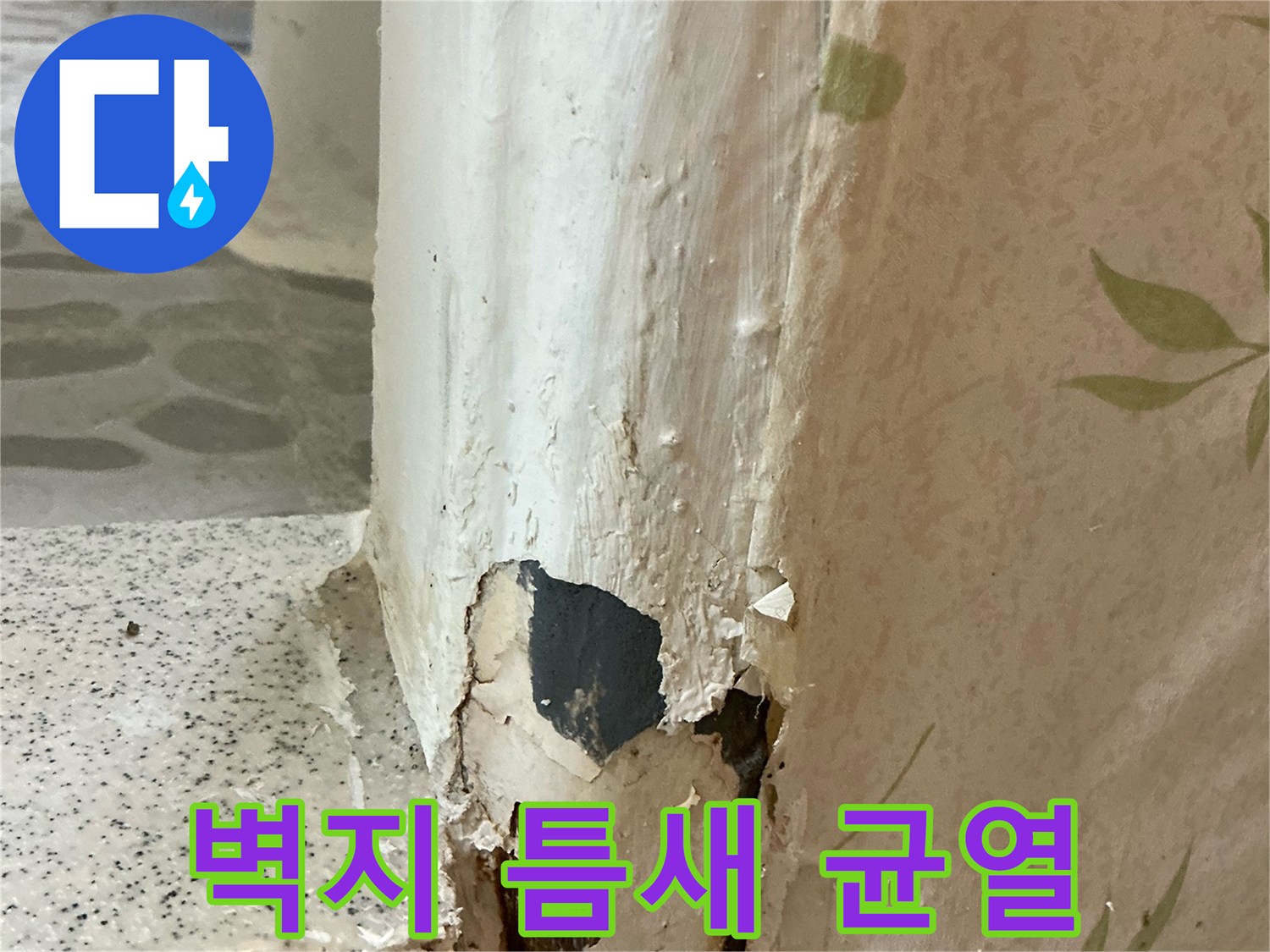 벽지 내부-습기로 인해 갈라진 마감재 틈새