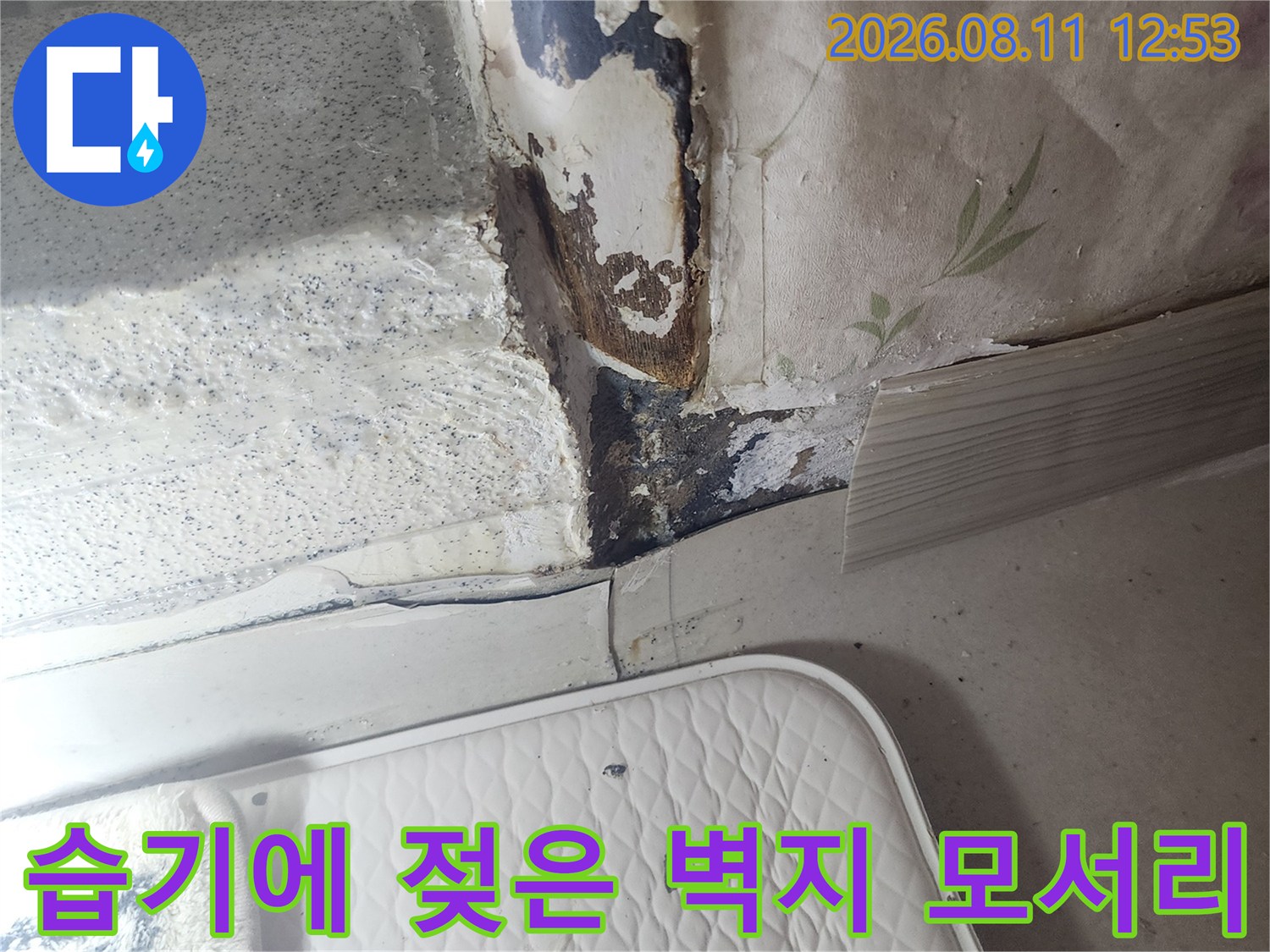 천장 접합부의 누수 침투 및 벽지 변색 부위