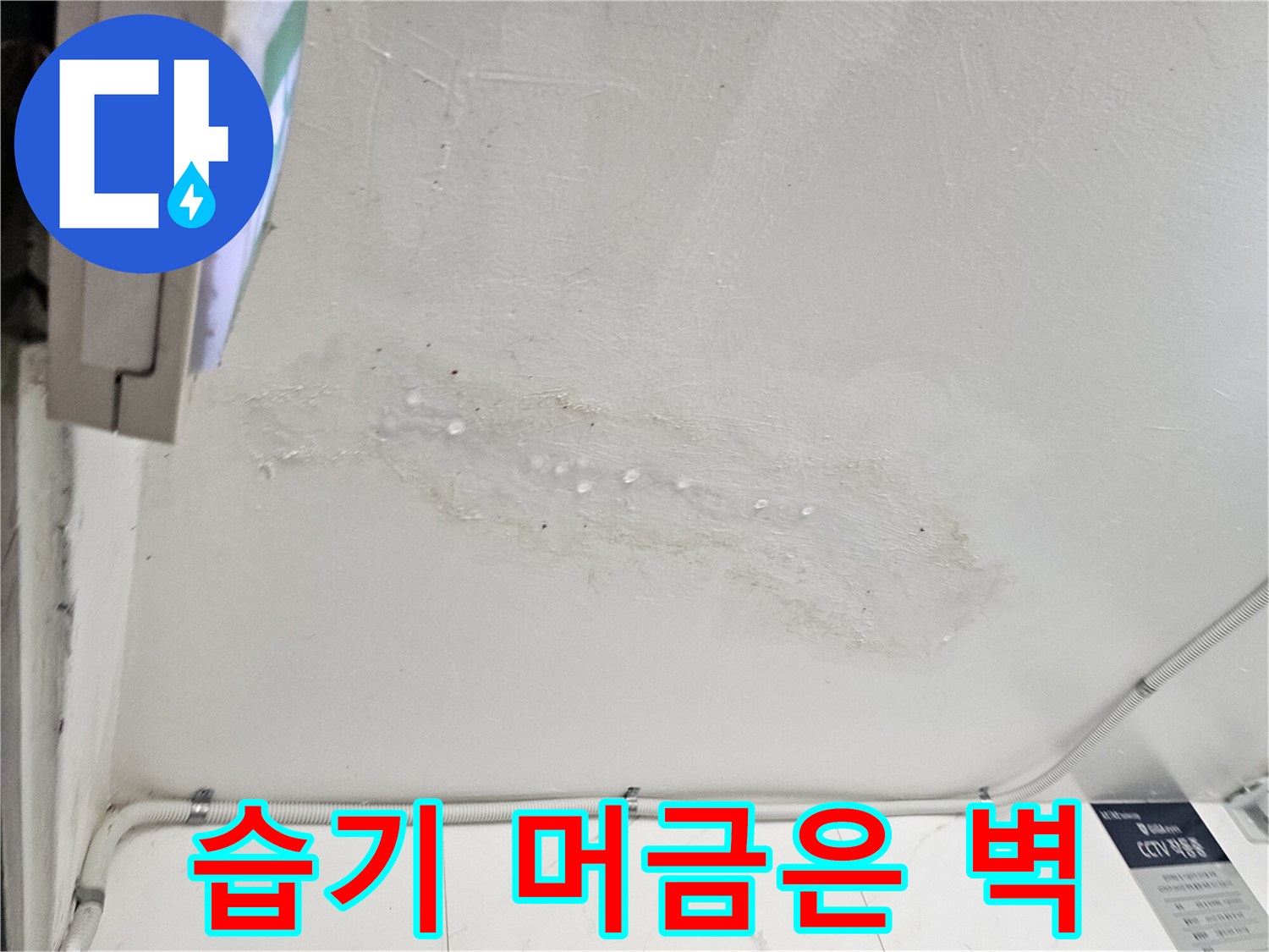 천장 부근의 습기 침투 및 변색된 벽면