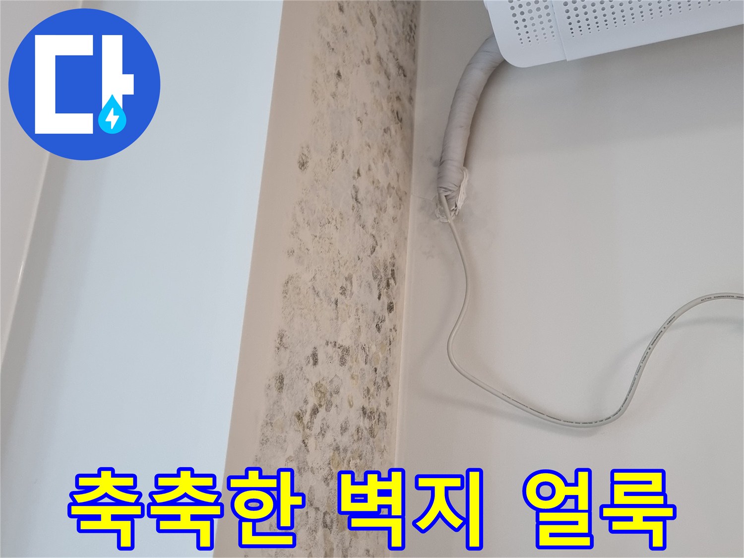 배관 주위로 번진 곰팡이와 습기 자국