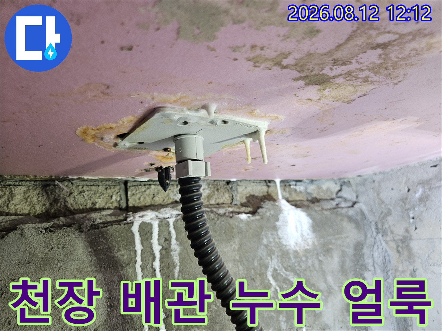 분홍색 천장 마감재에 나타난 배관 주변의 누수 흔적